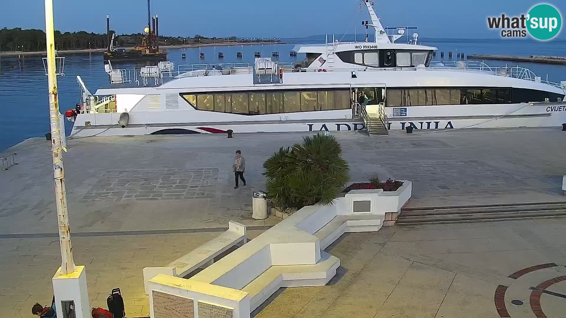 Promenade en Novalia Camera en vivo