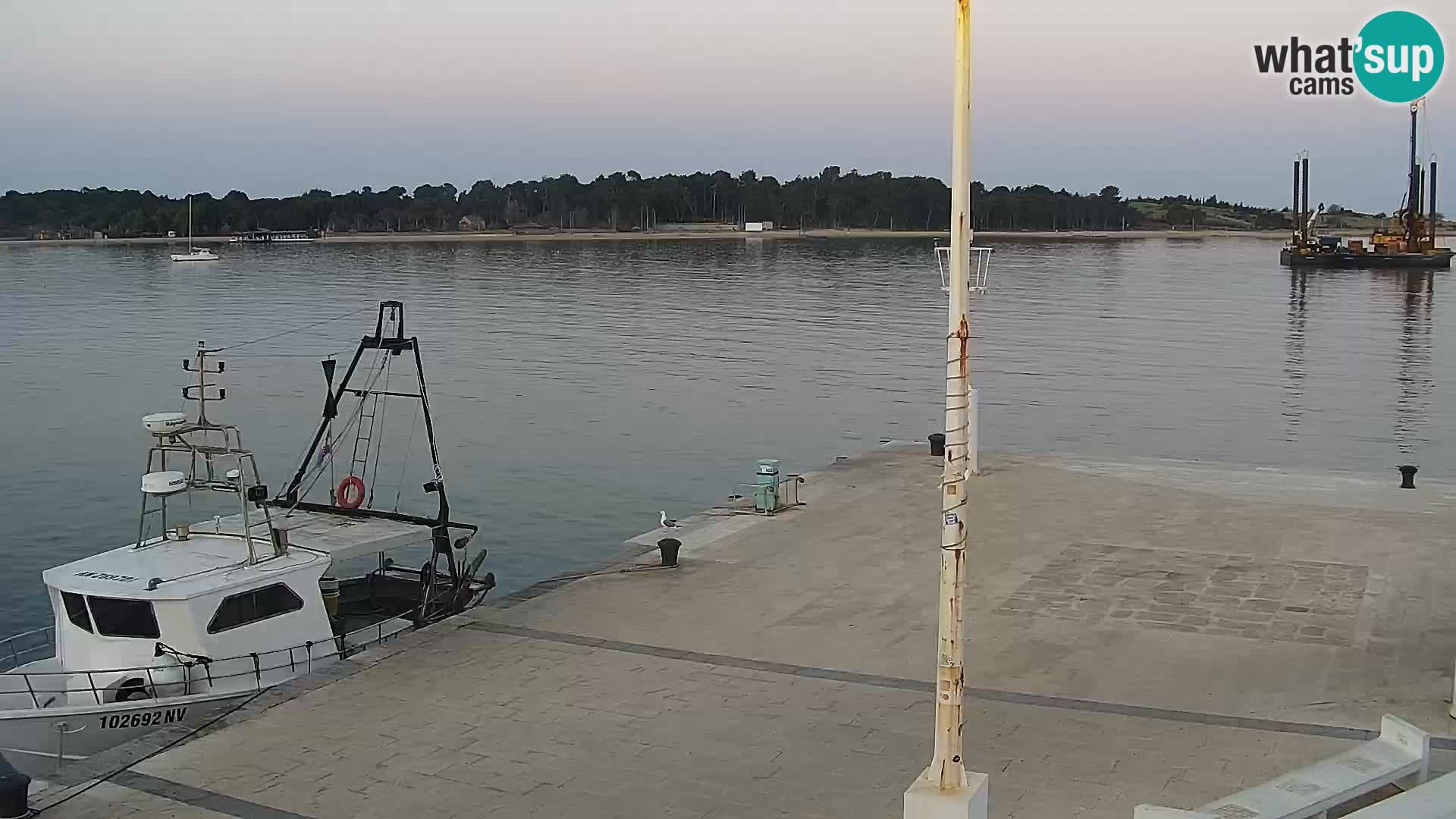 Novalja spletna kamera promenada