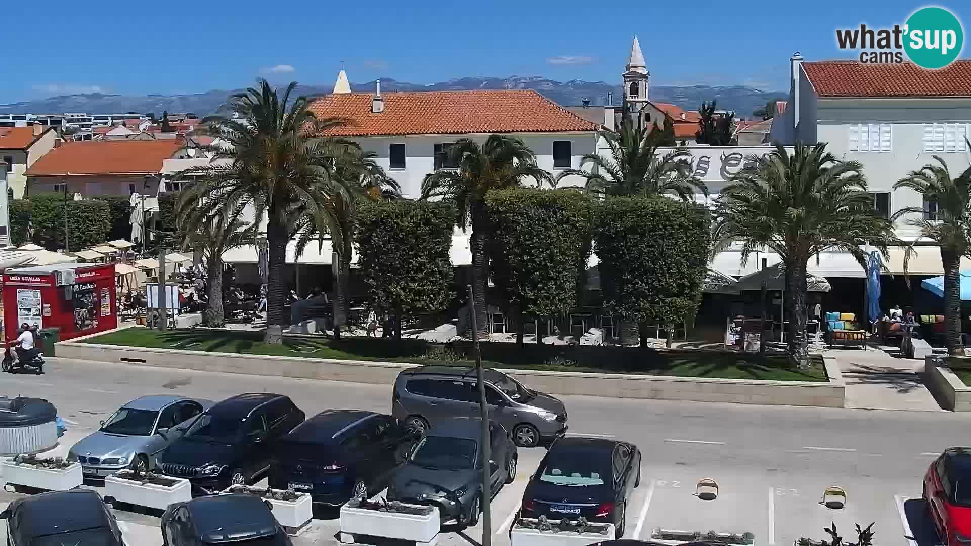 Promenade en Novalia Camera en vivo