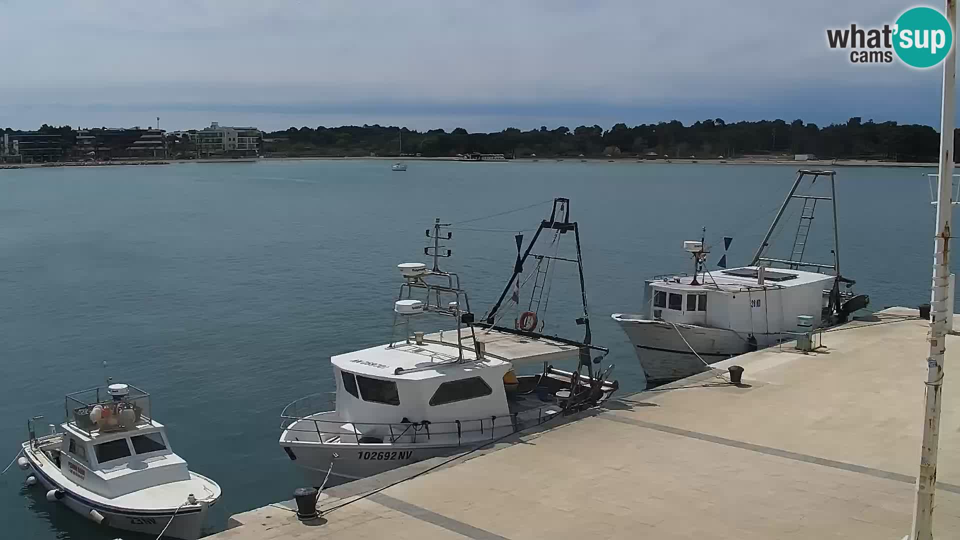 Novalja spletna kamera promenada