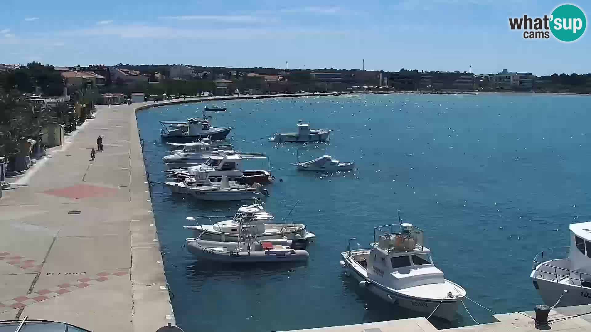 Webcam Novalja seaside promenade