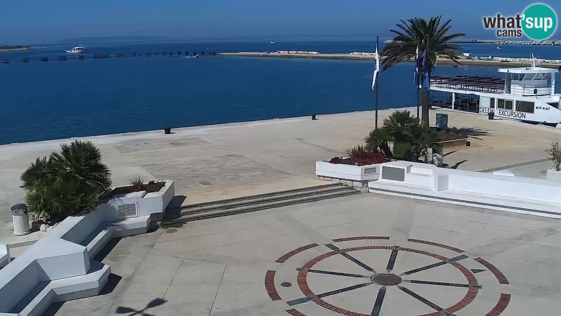 Promenade en Novalia Camera en vivo