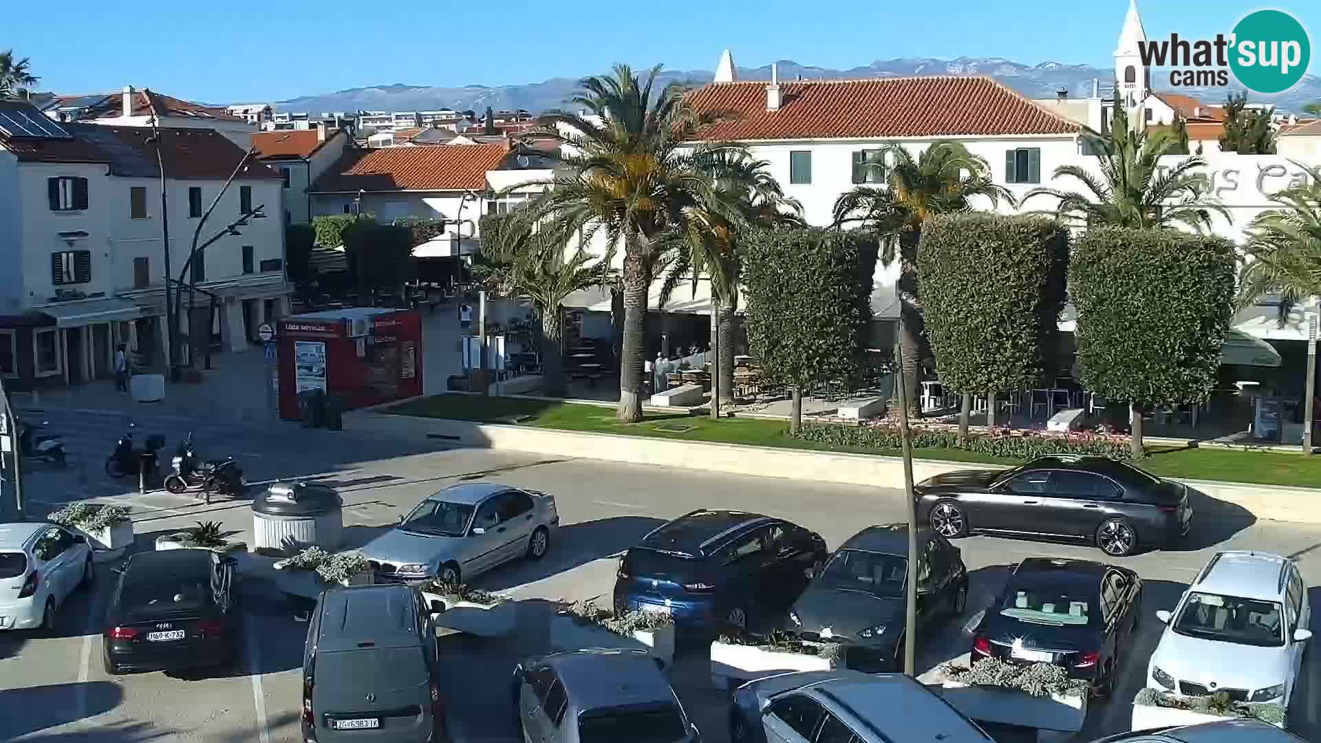 Promenade en Novalia Camera en vivo