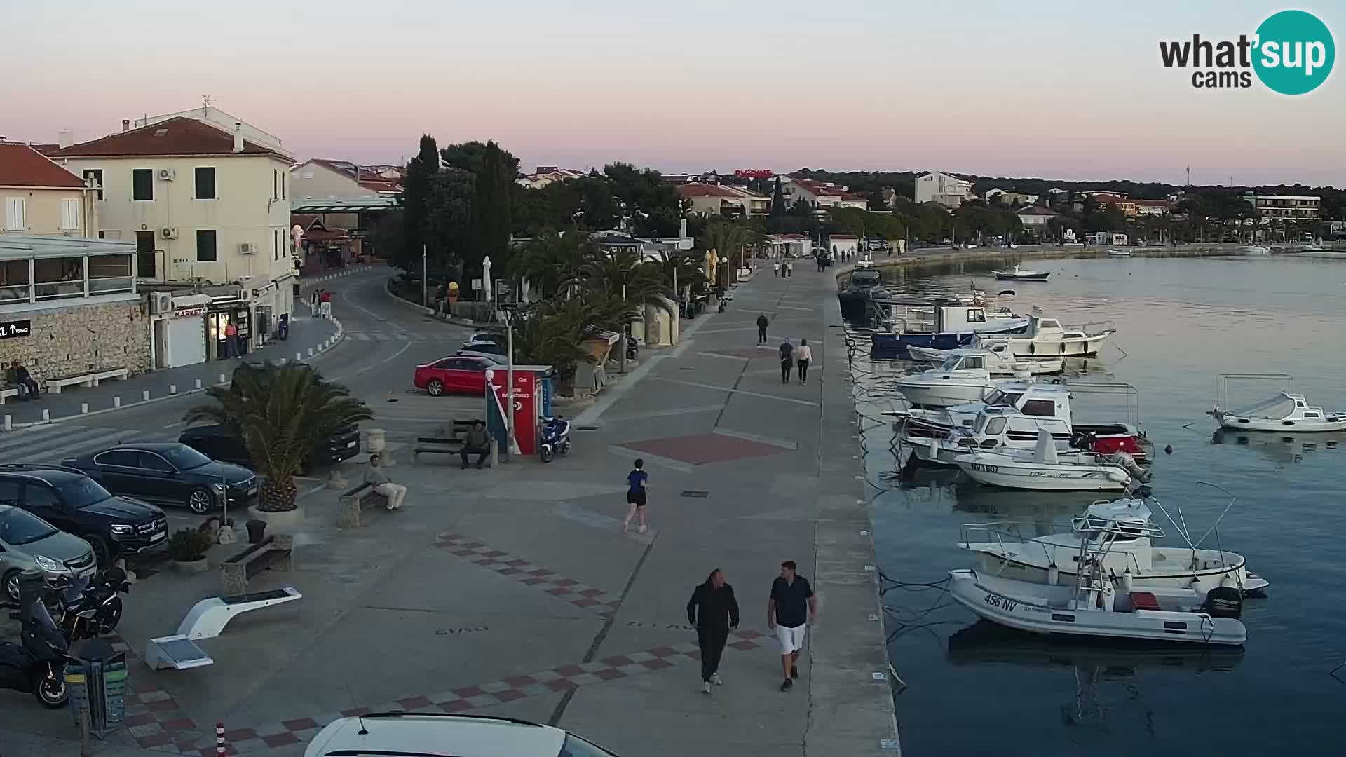 Promenade en Novalia Camera en vivo