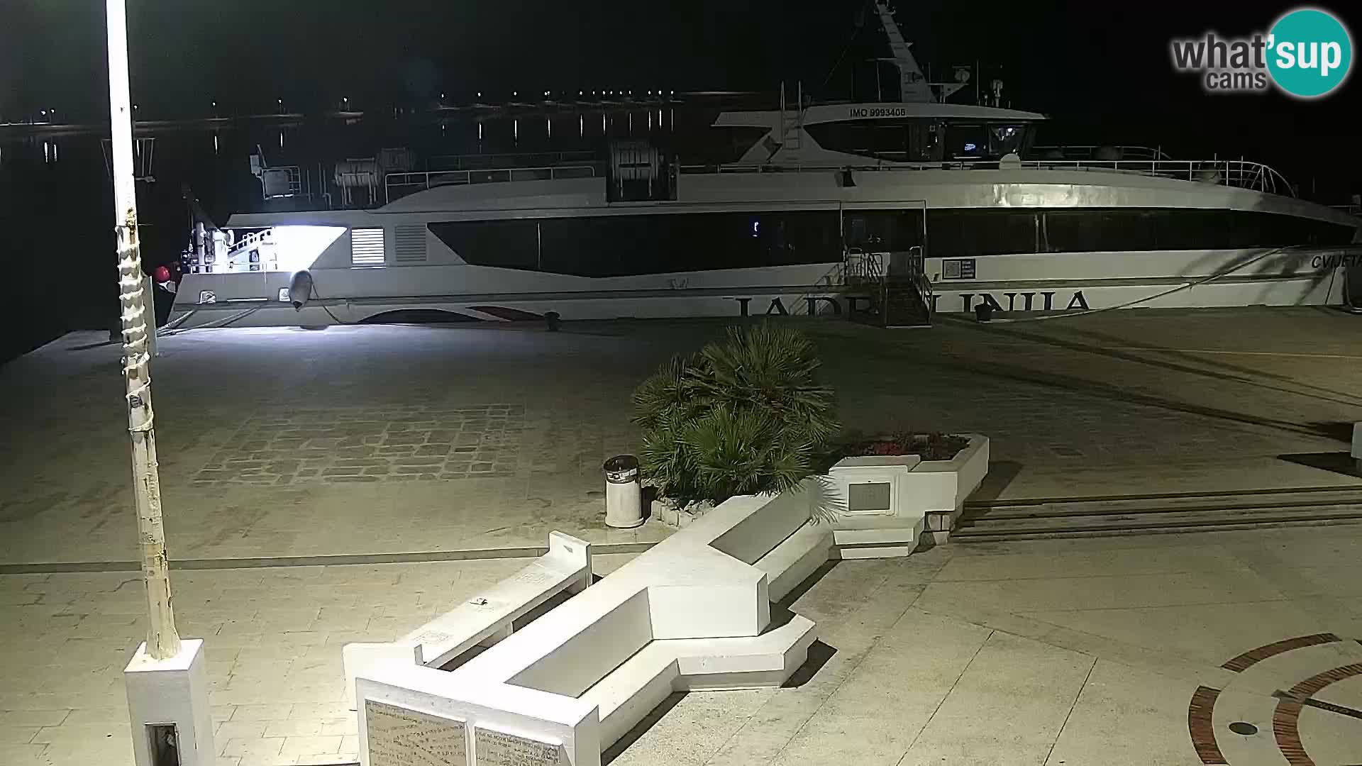 Promenade en Novalia Camera en vivo