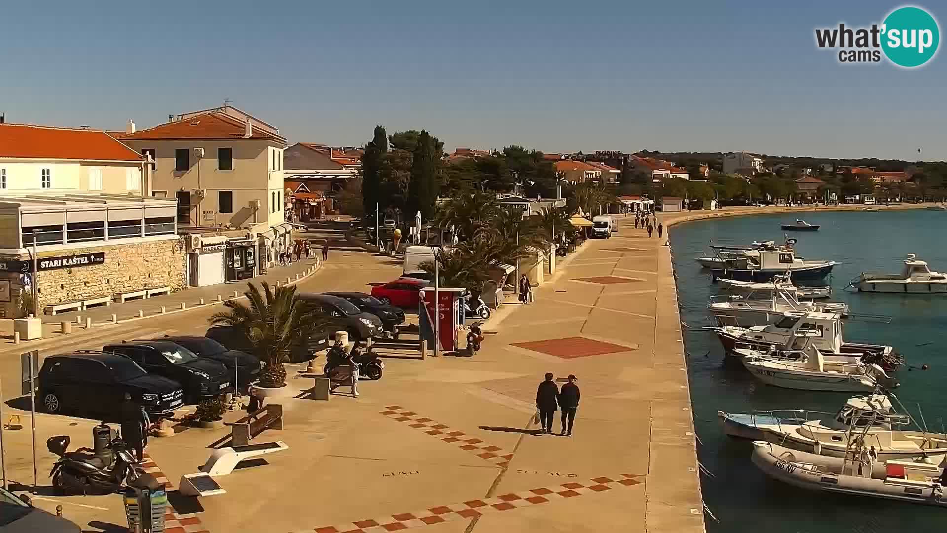 Promenade en Novalia Camera en vivo