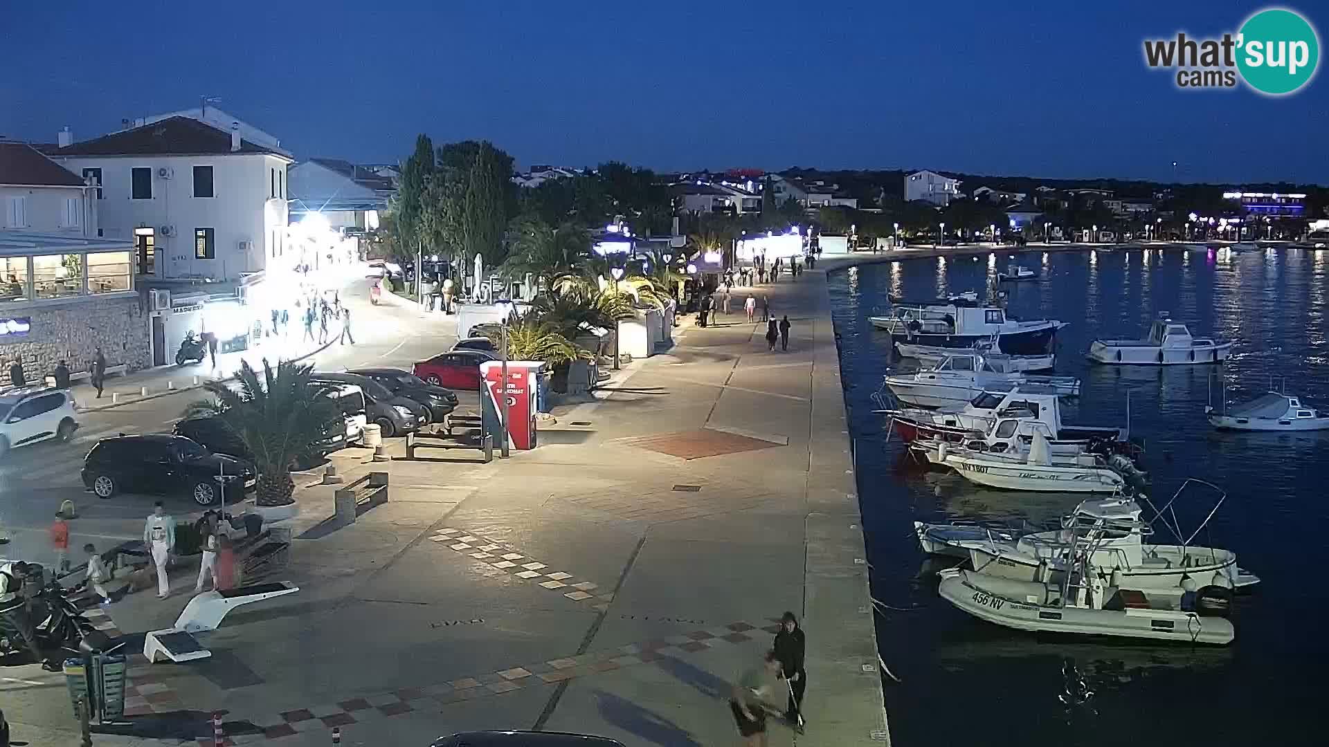 Promenade en Novalia Camera en vivo