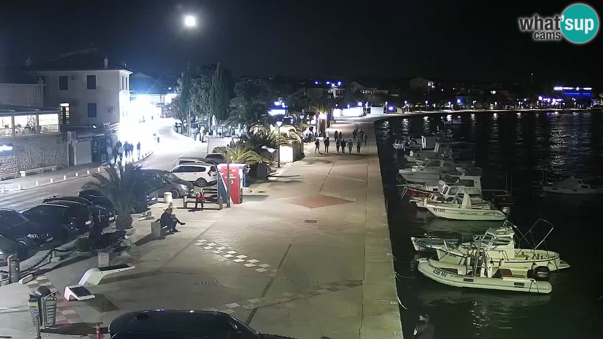 Promenade en Novalia Camera en vivo