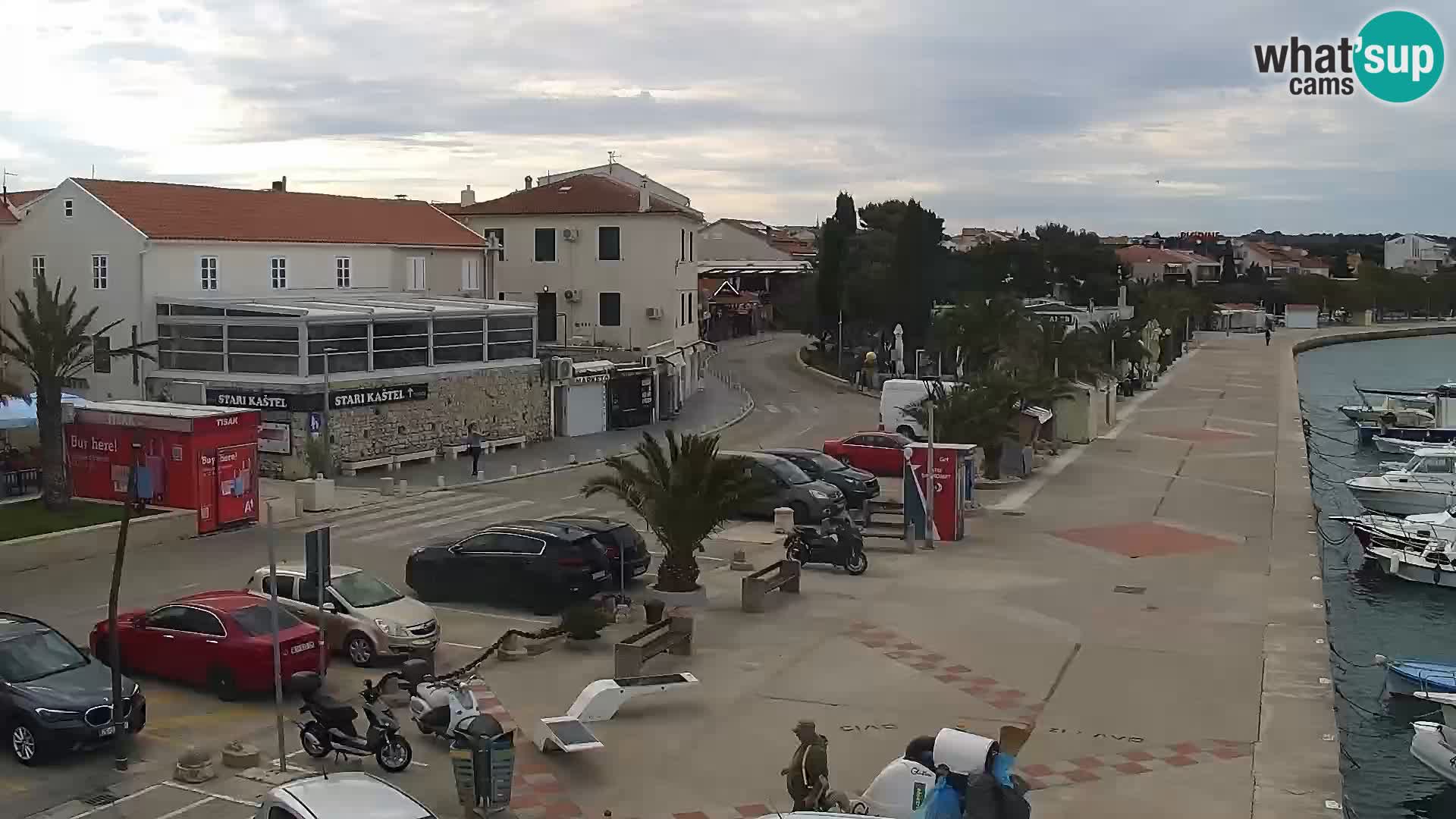 Promenade en Novalia Camera en vivo