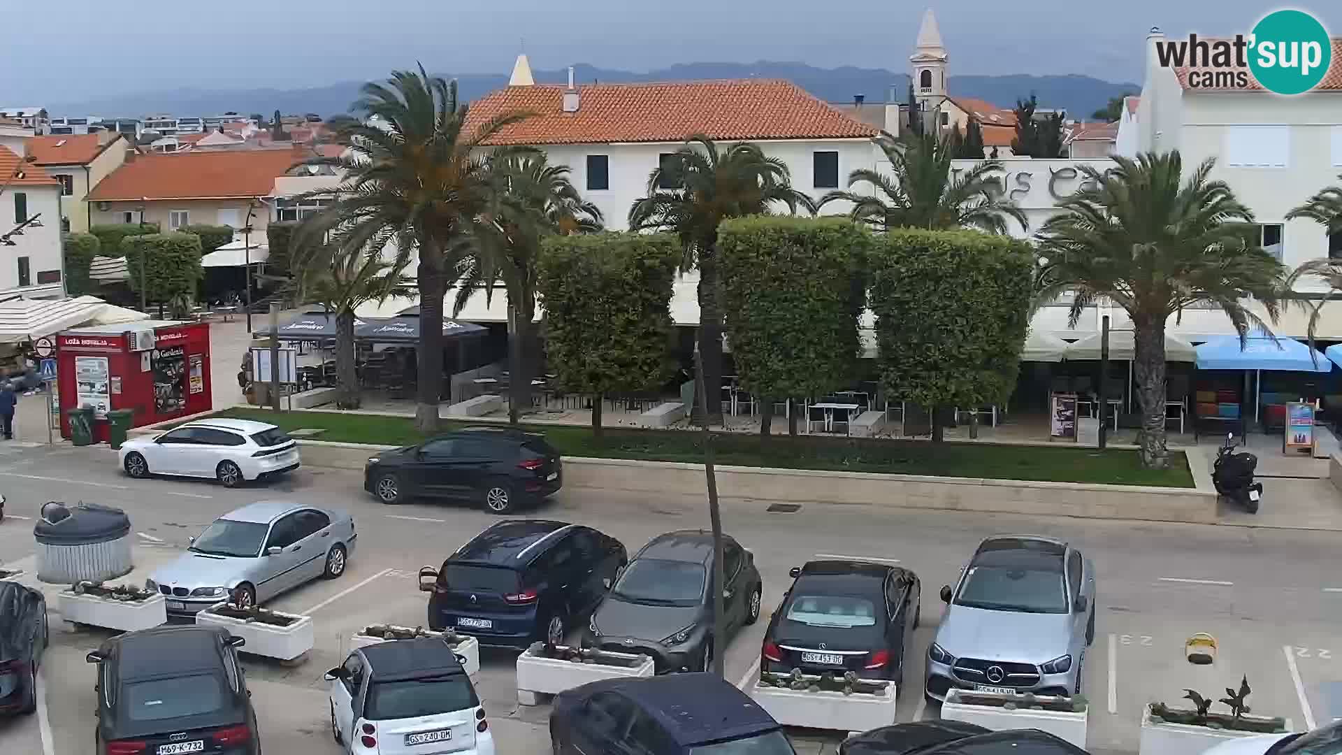 Promenade en Novalia Camera en vivo
