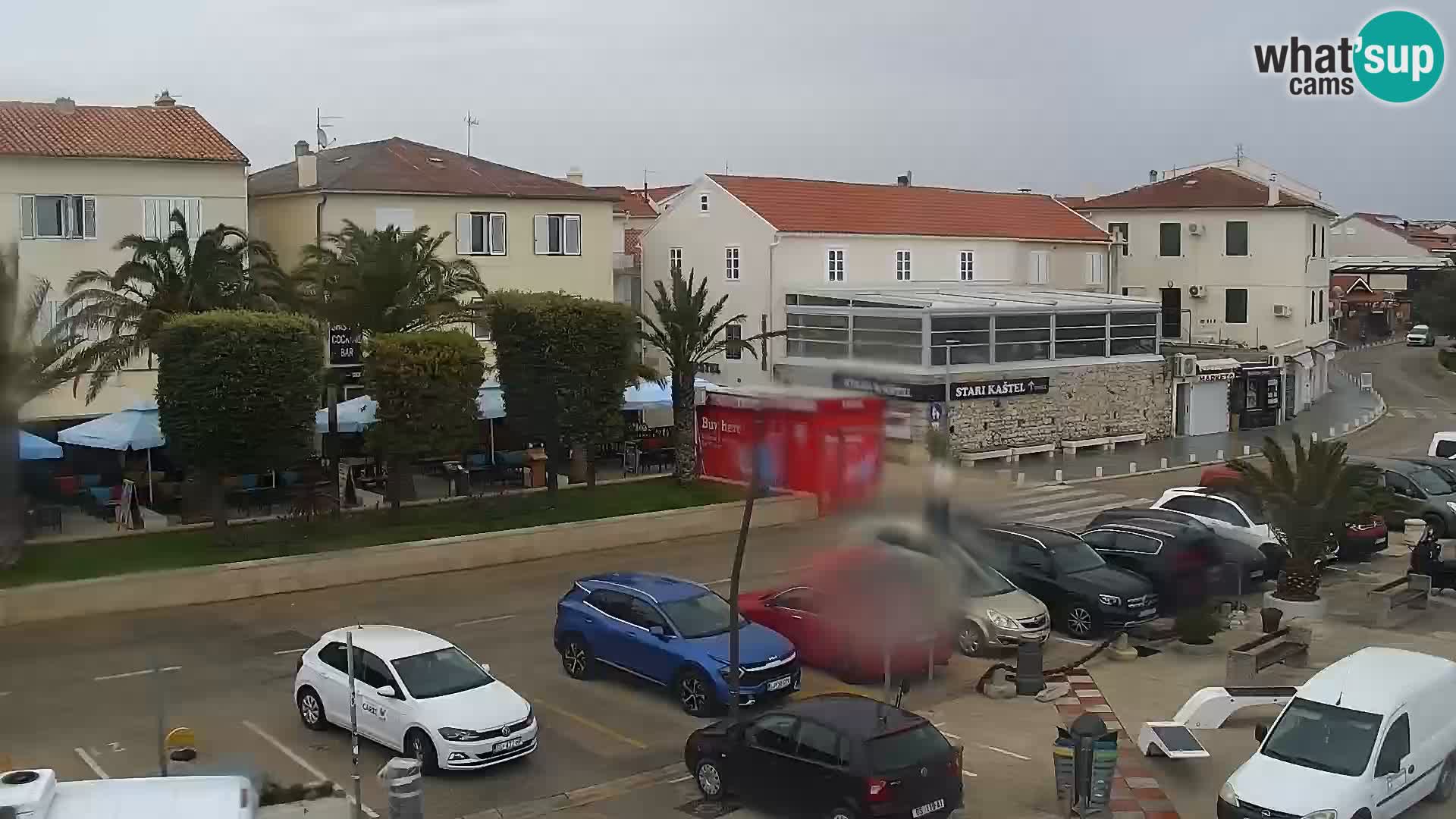 Promenade en Novalia Camera en vivo