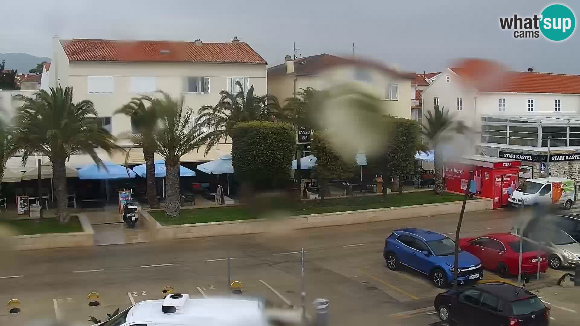 Promenade en Novalia Camera en vivo