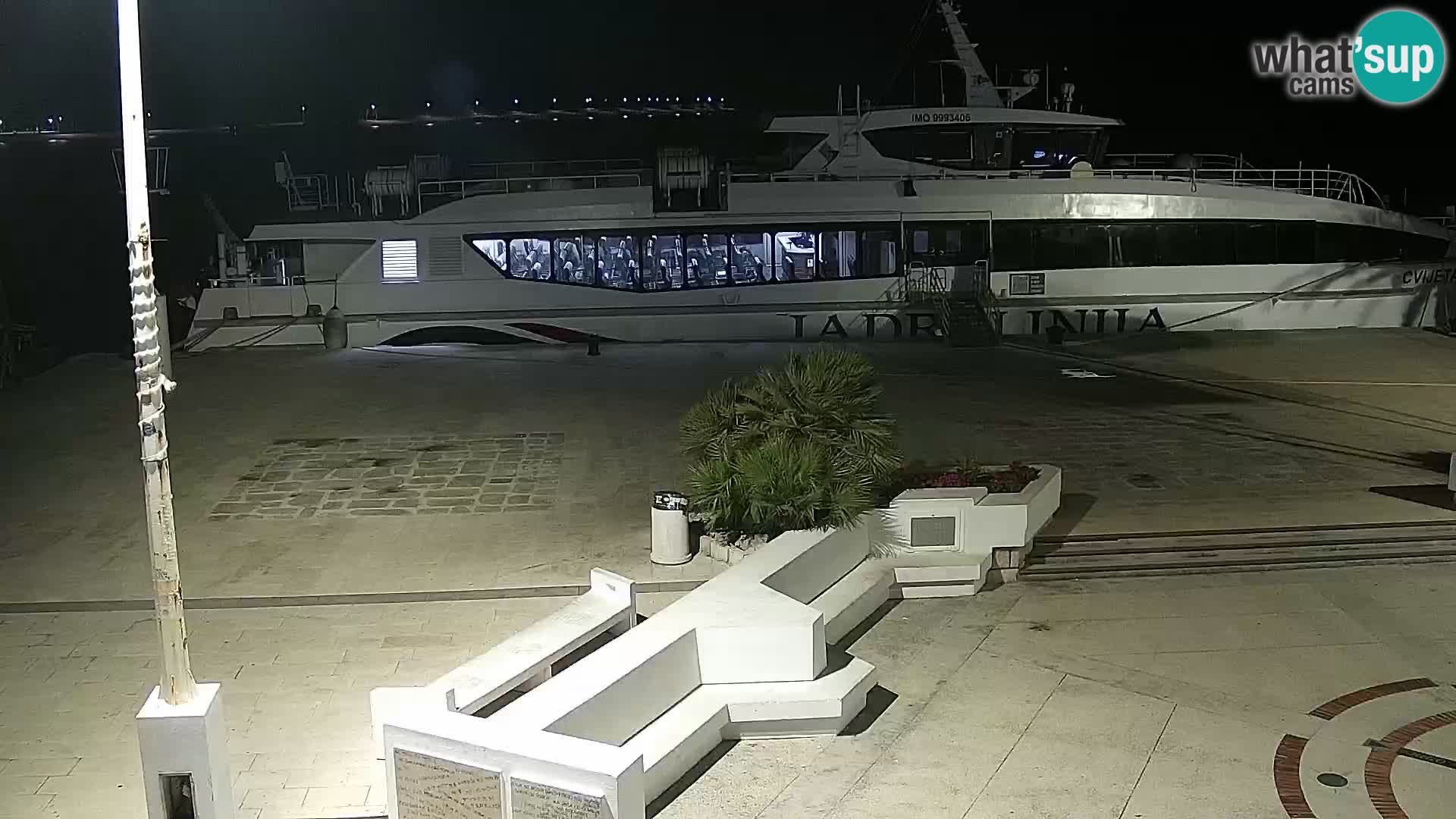 Promenade en Novalia Camera en vivo