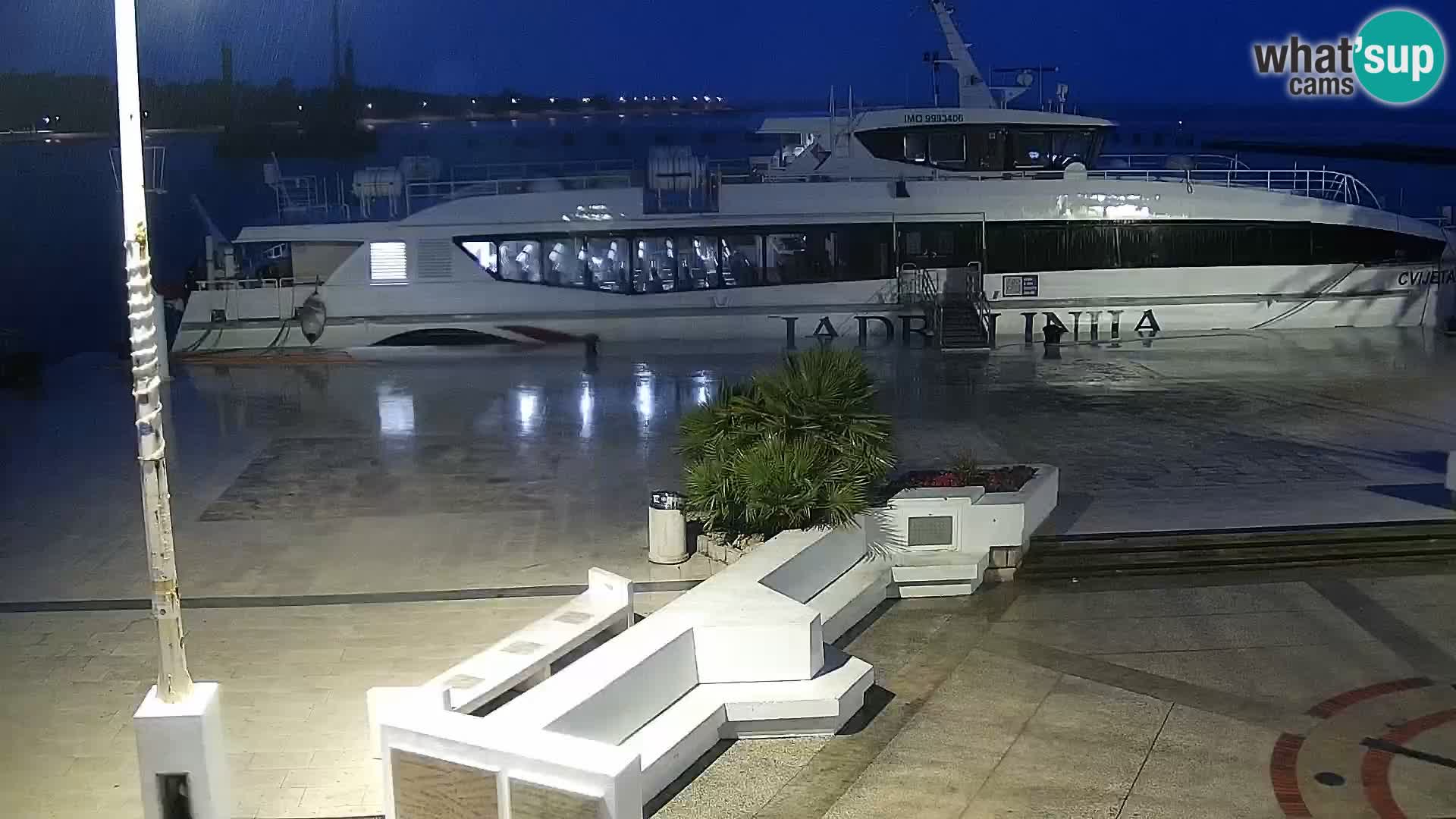 Promenade en Novalia Camera en vivo