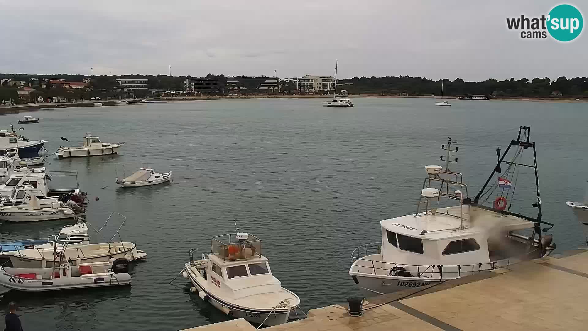 Novalja Livecam promenade
