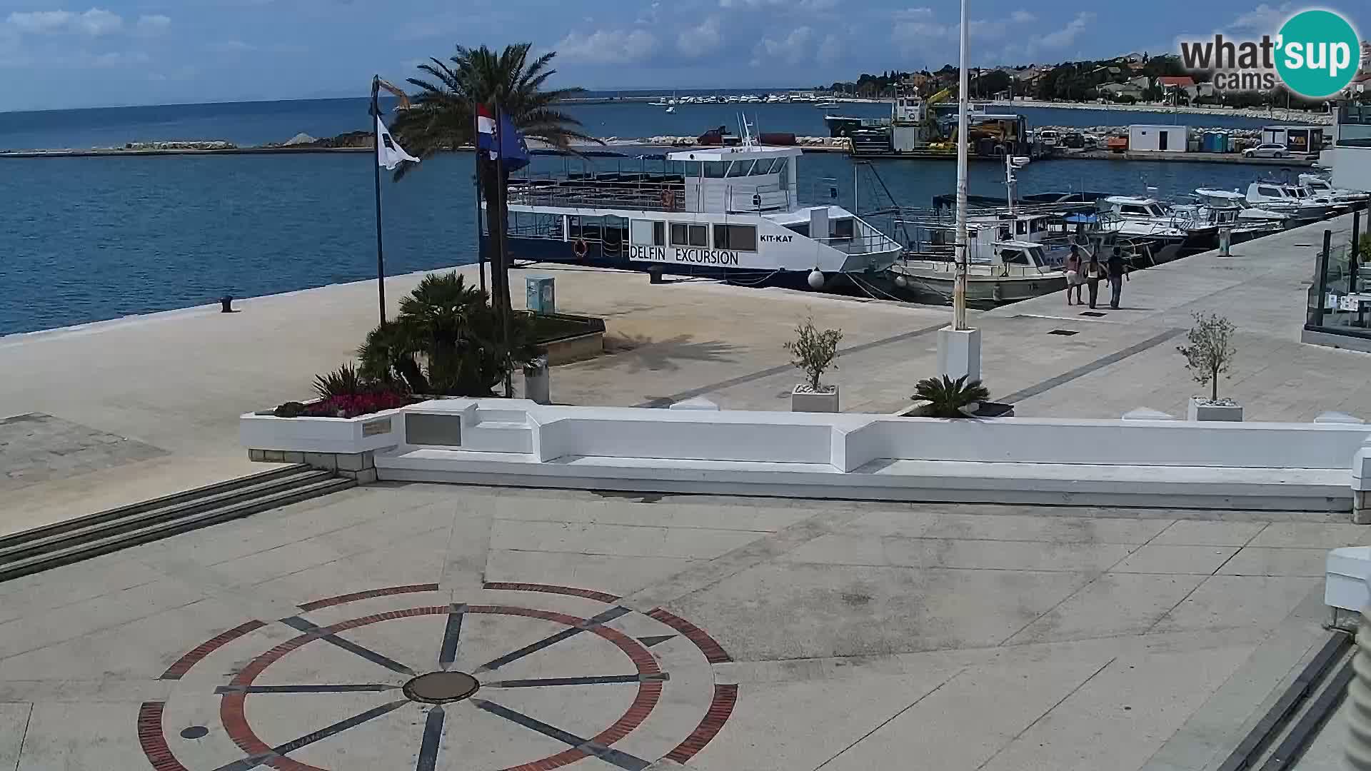 Promenade en Novalia Camera en vivo