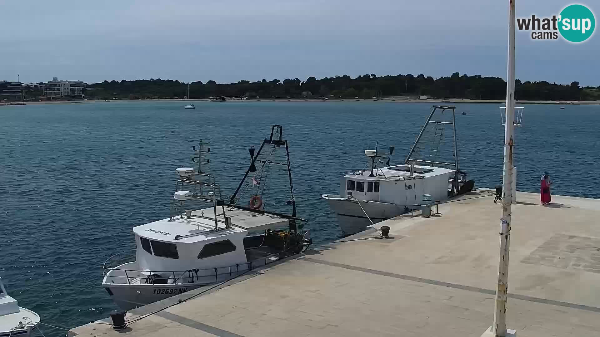 Livecam Promenade a Novalja