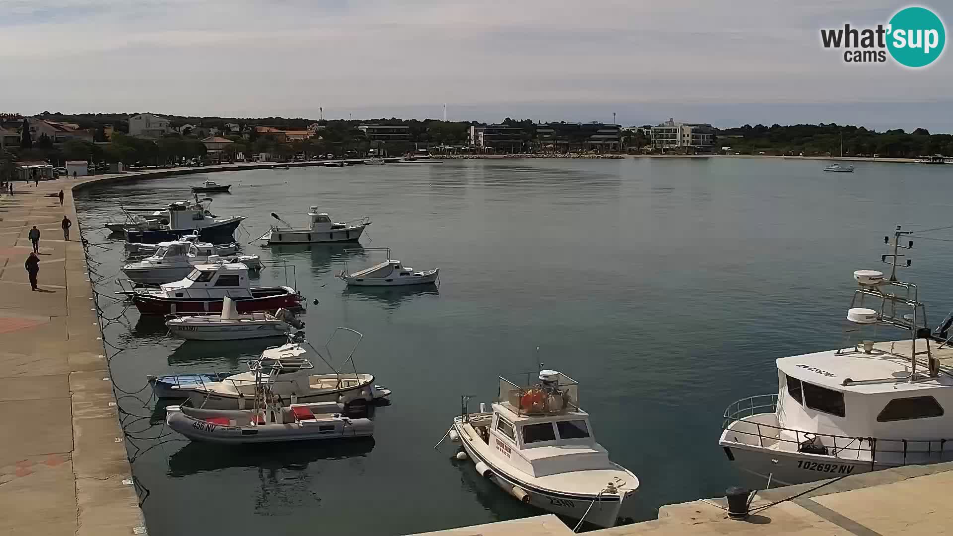 Novalja spletna kamera promenada