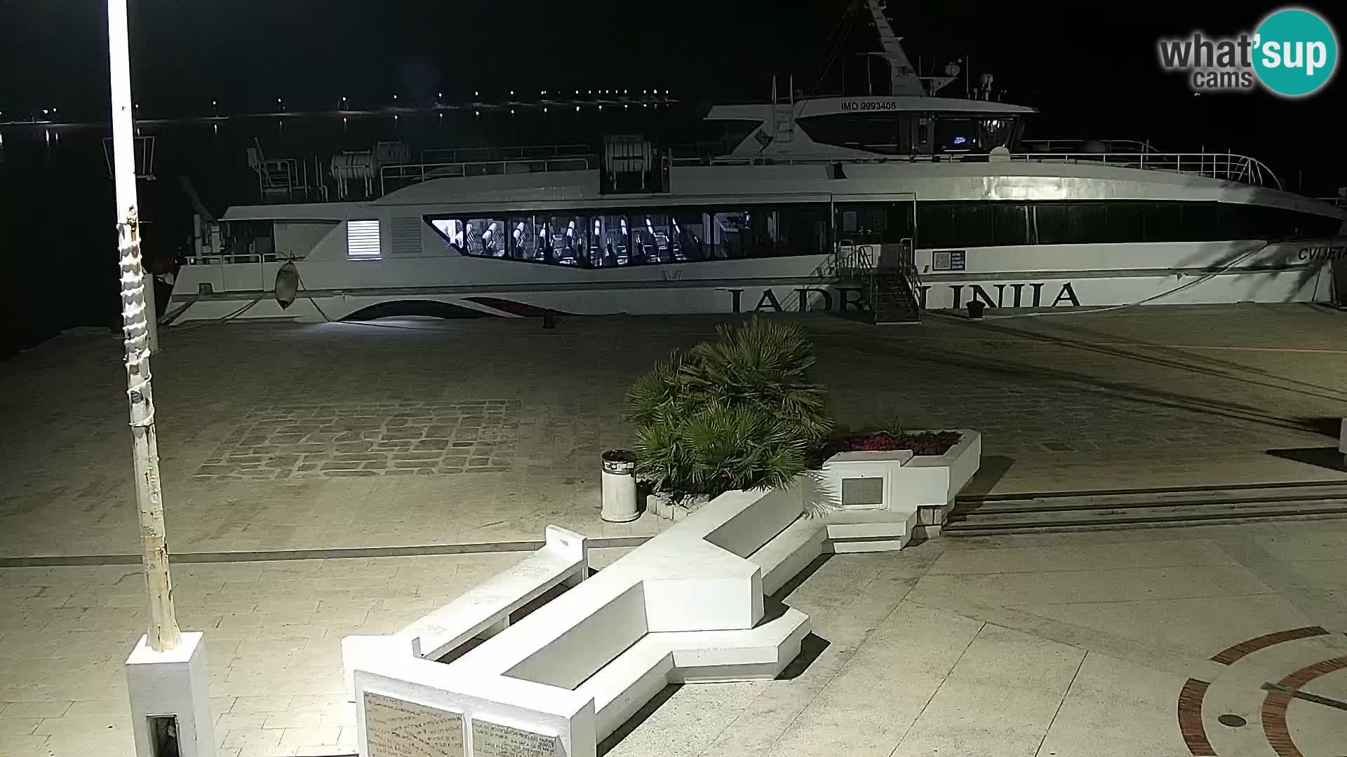 Promenade en Novalia Camera en vivo