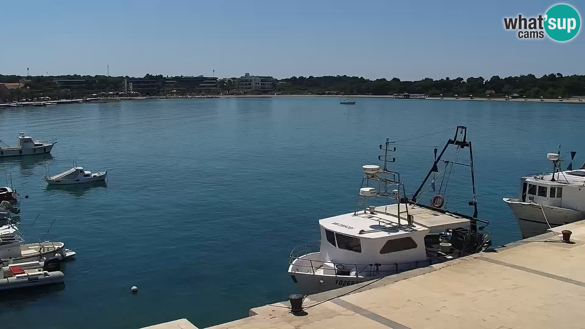 Live webcam Novaglia lungomare