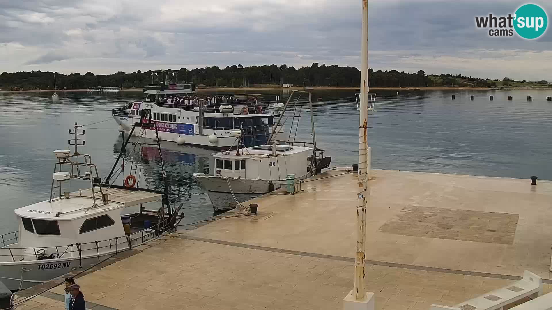 Novalja Livecam promenade