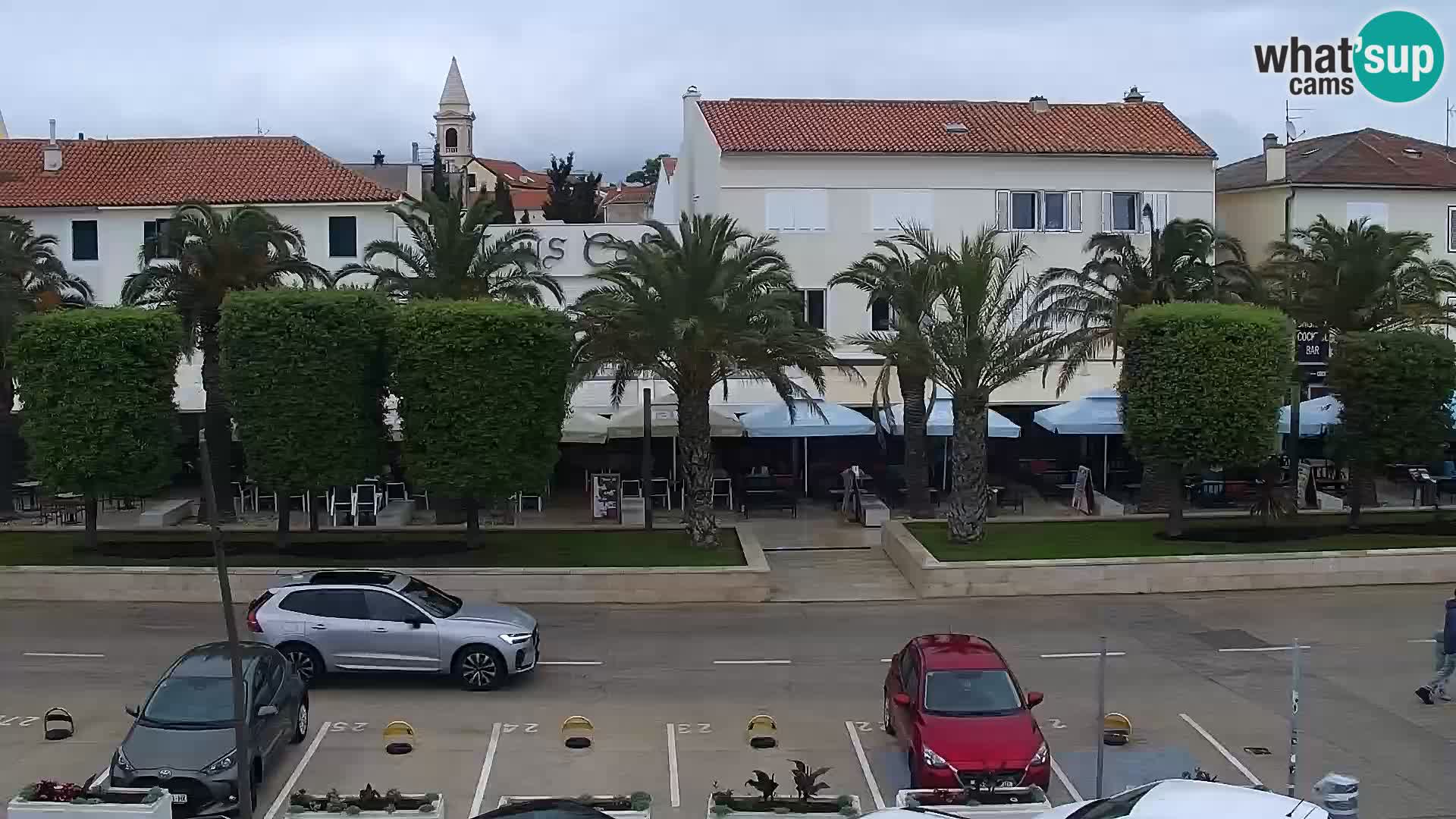 Promenade en Novalia Camera en vivo