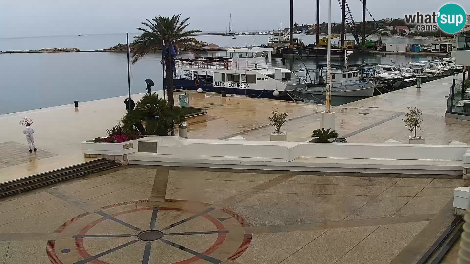 Promenade en Novalia Camera en vivo
