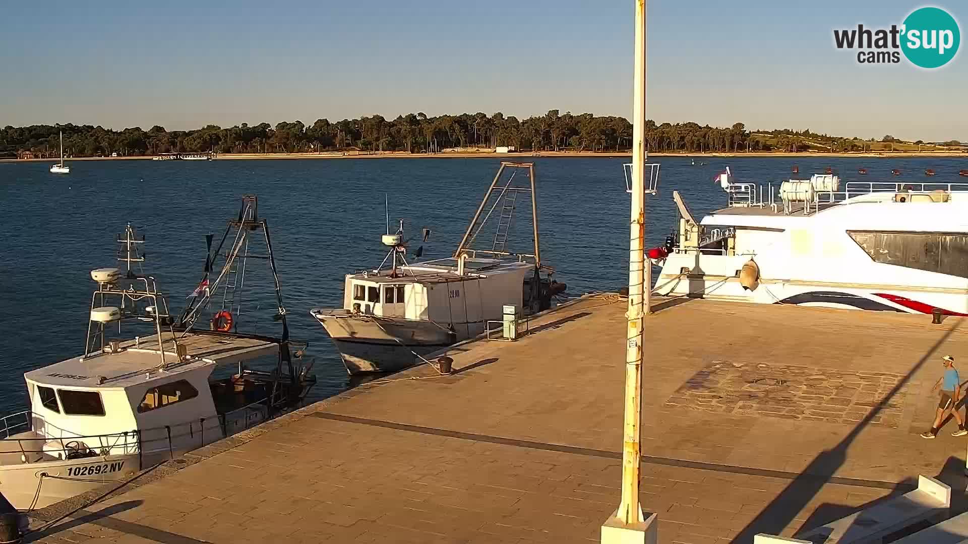 Novalja Livecam promenade