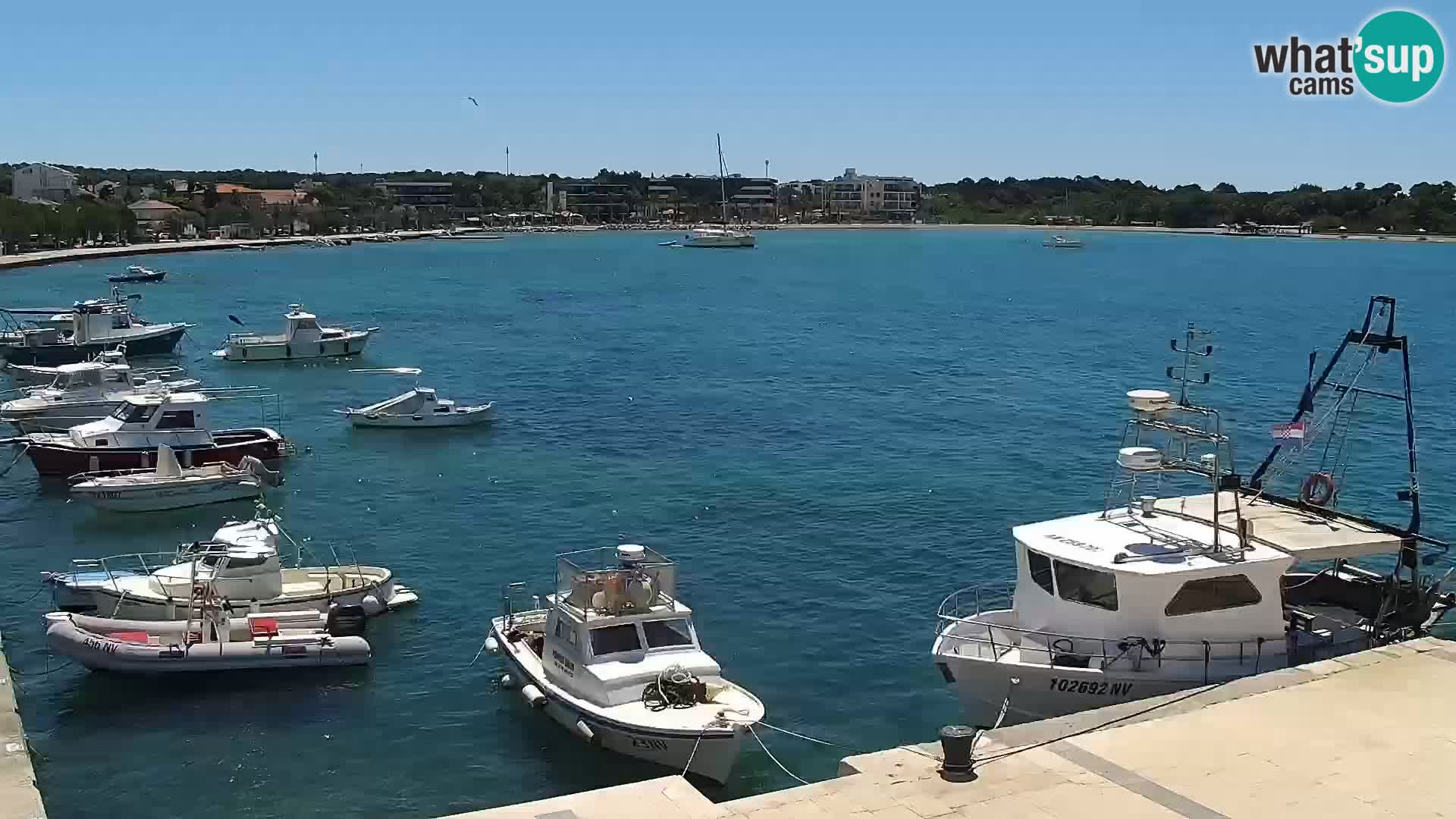 Livecam Promenade a Novalja