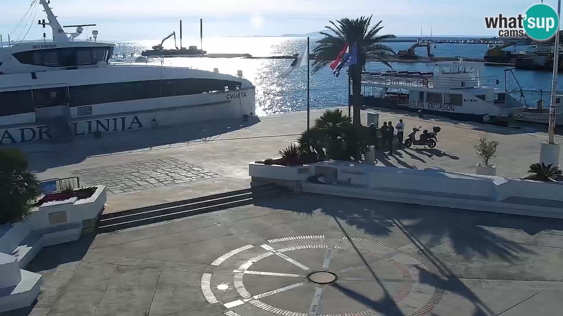 Promenade en Novalia Camera en vivo