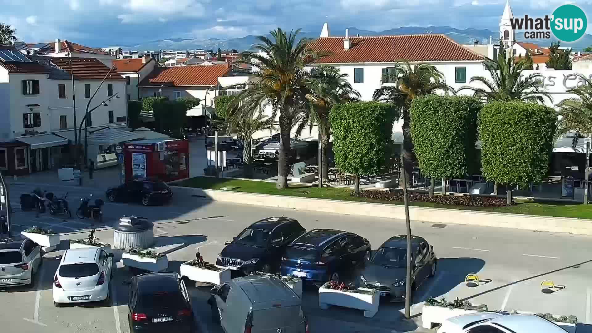 Promenade en Novalia Camera en vivo