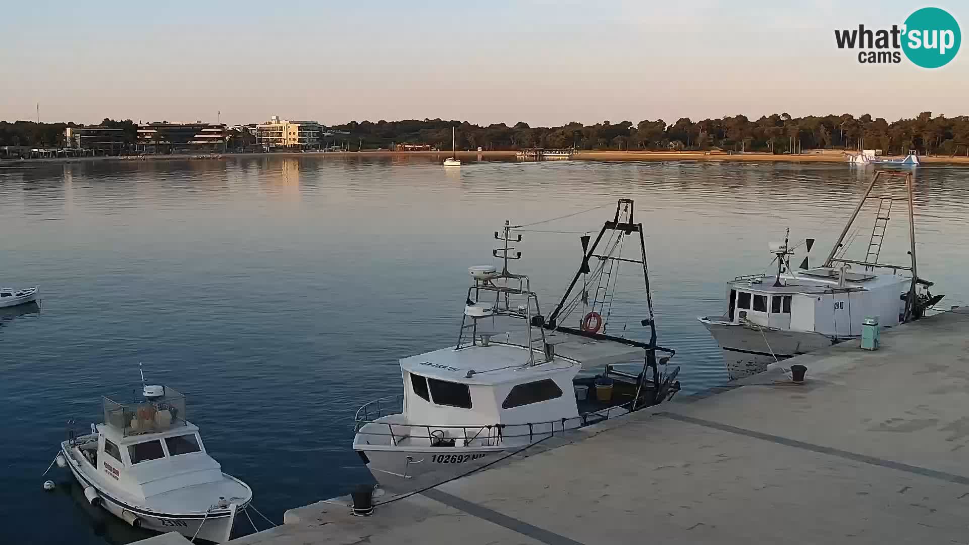 Novalja Livecam promenade