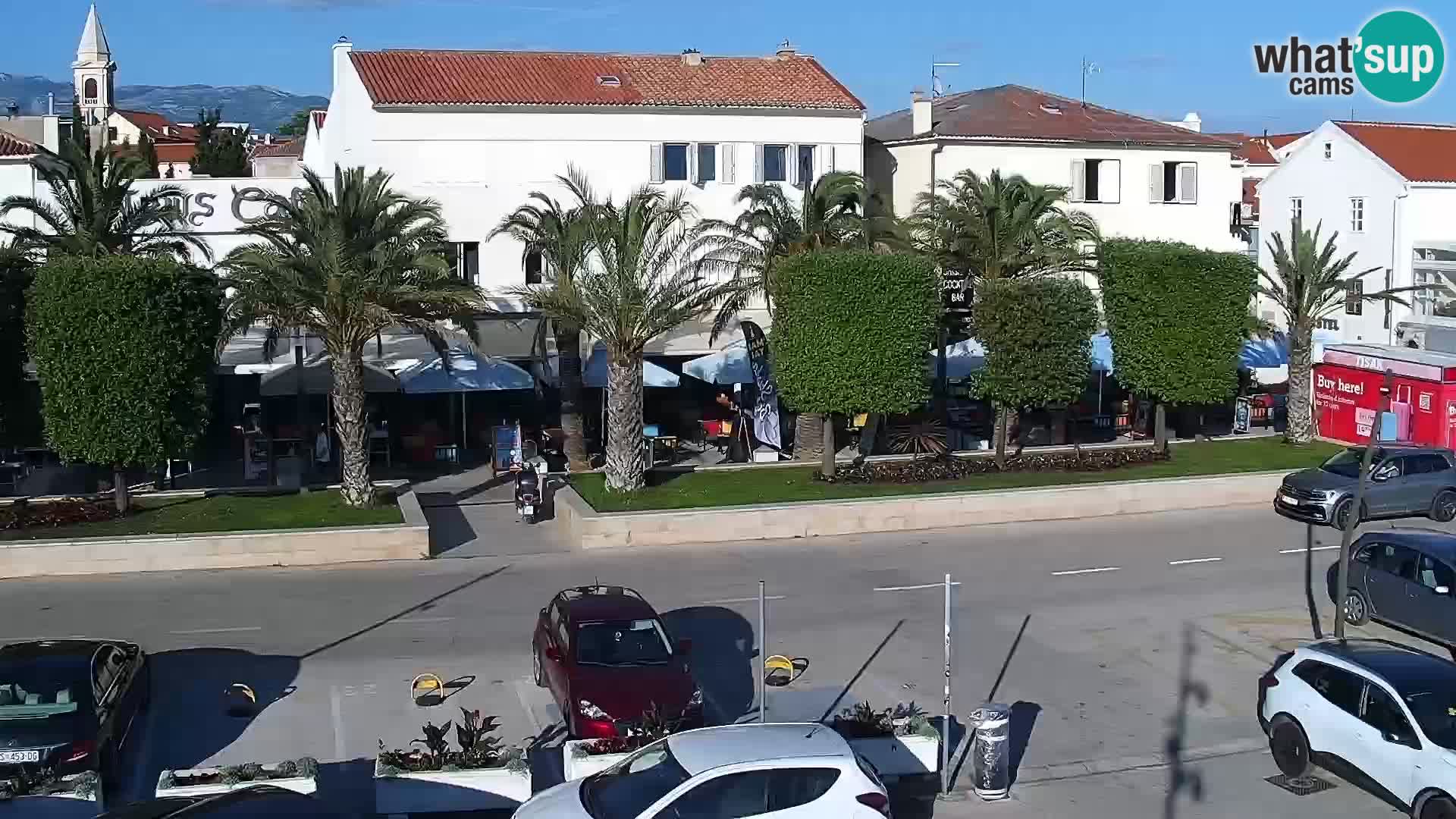Promenade en Novalia Camera en vivo