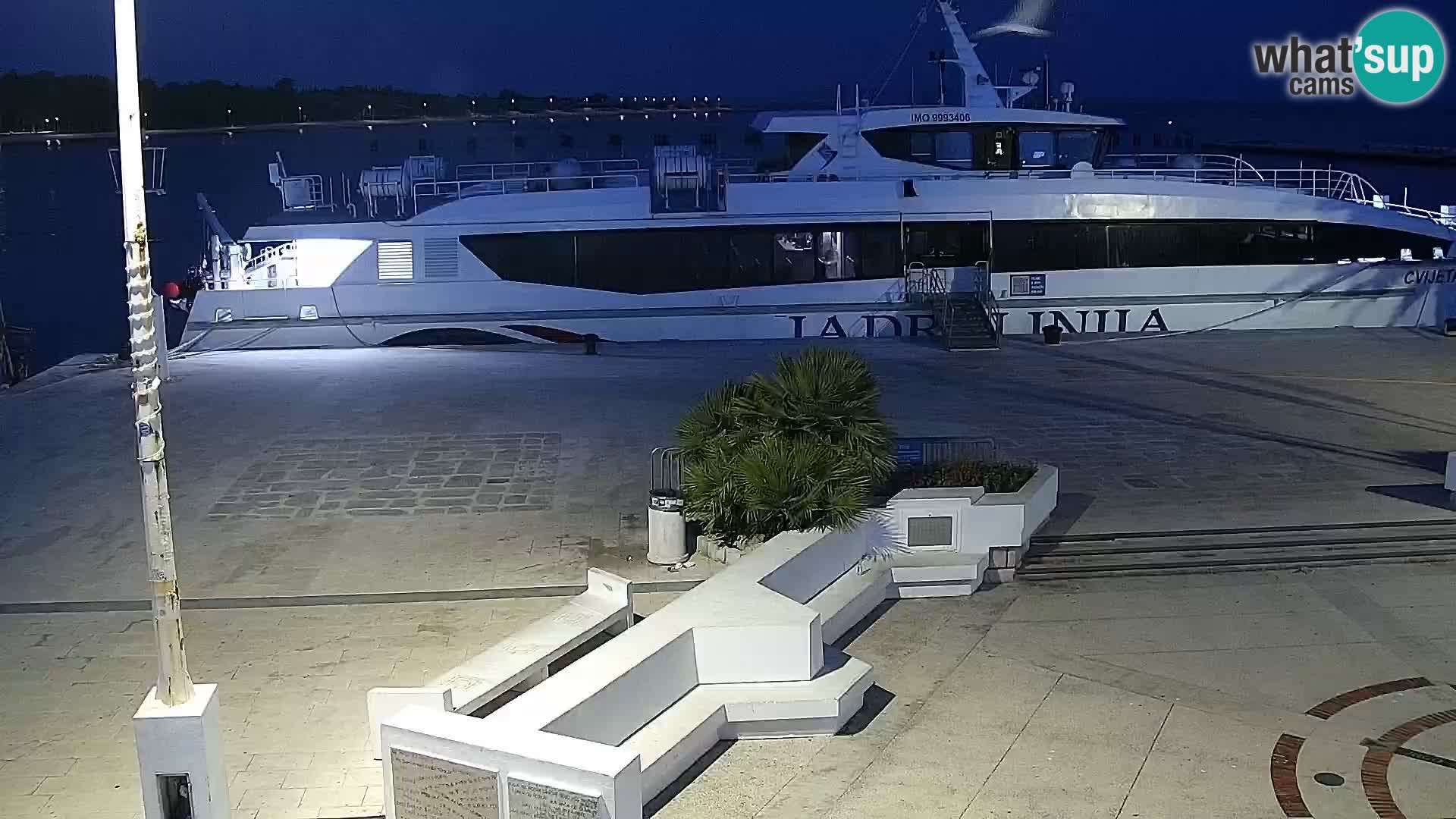 Novalja Livecam promenade