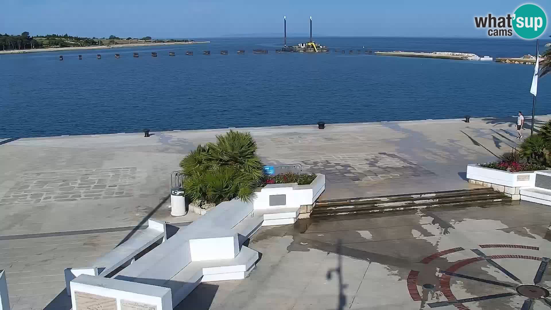 Promenade en Novalia Camera en vivo