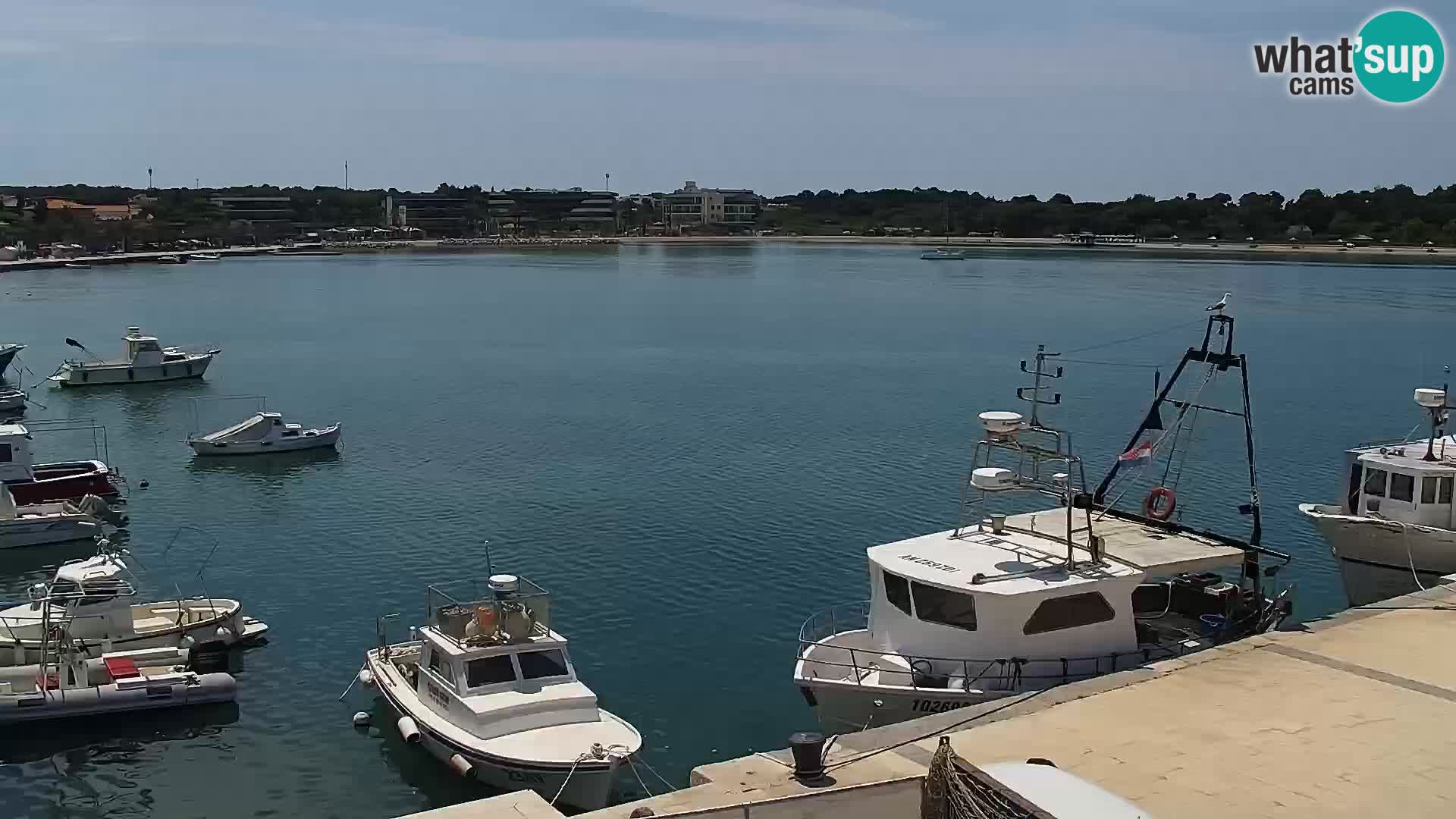 Live webcam Novaglia lungomare