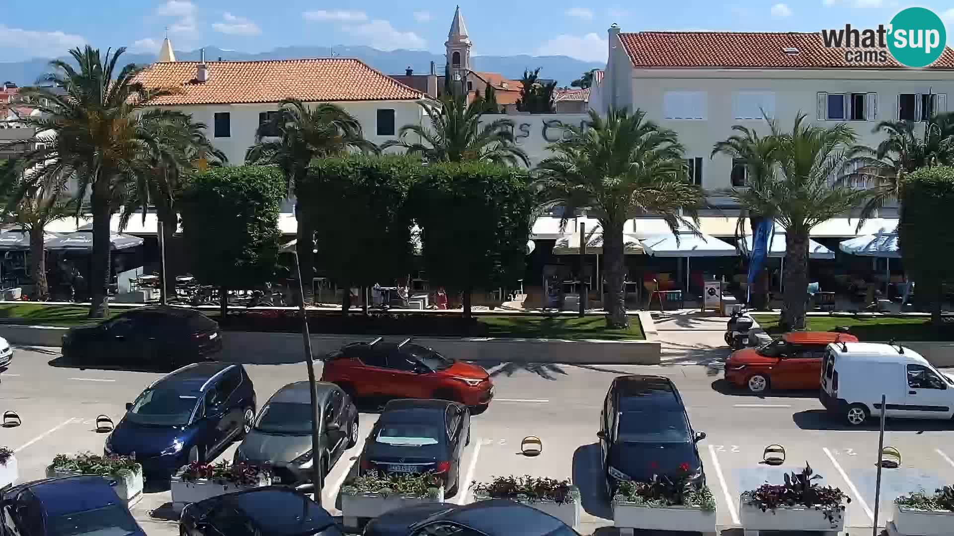 Promenade en Novalia Camera en vivo