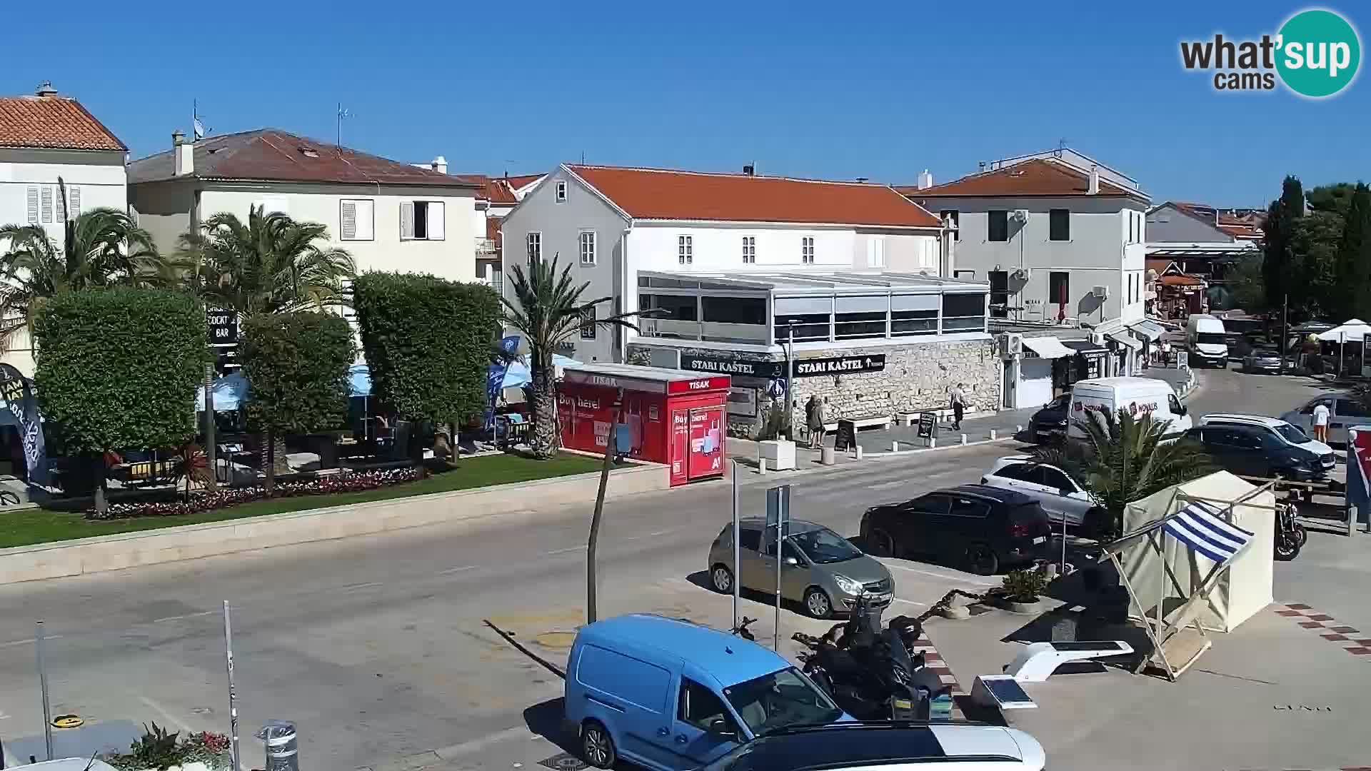 Promenade en Novalia Camera en vivo