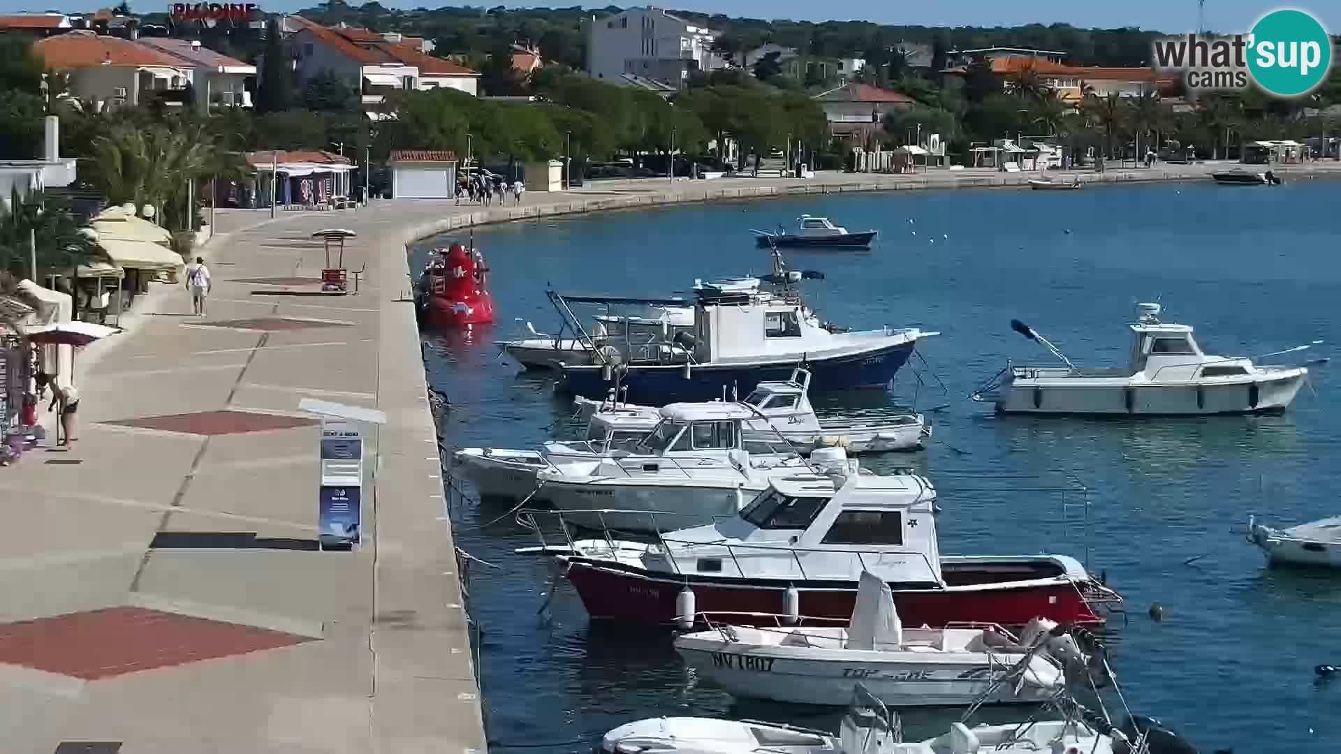 Promenade en Novalia Camera en vivo