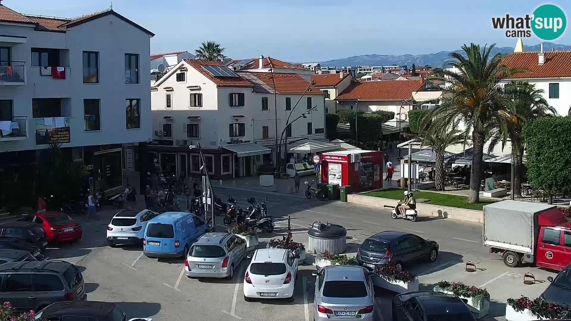 Promenade en Novalia Camera en vivo