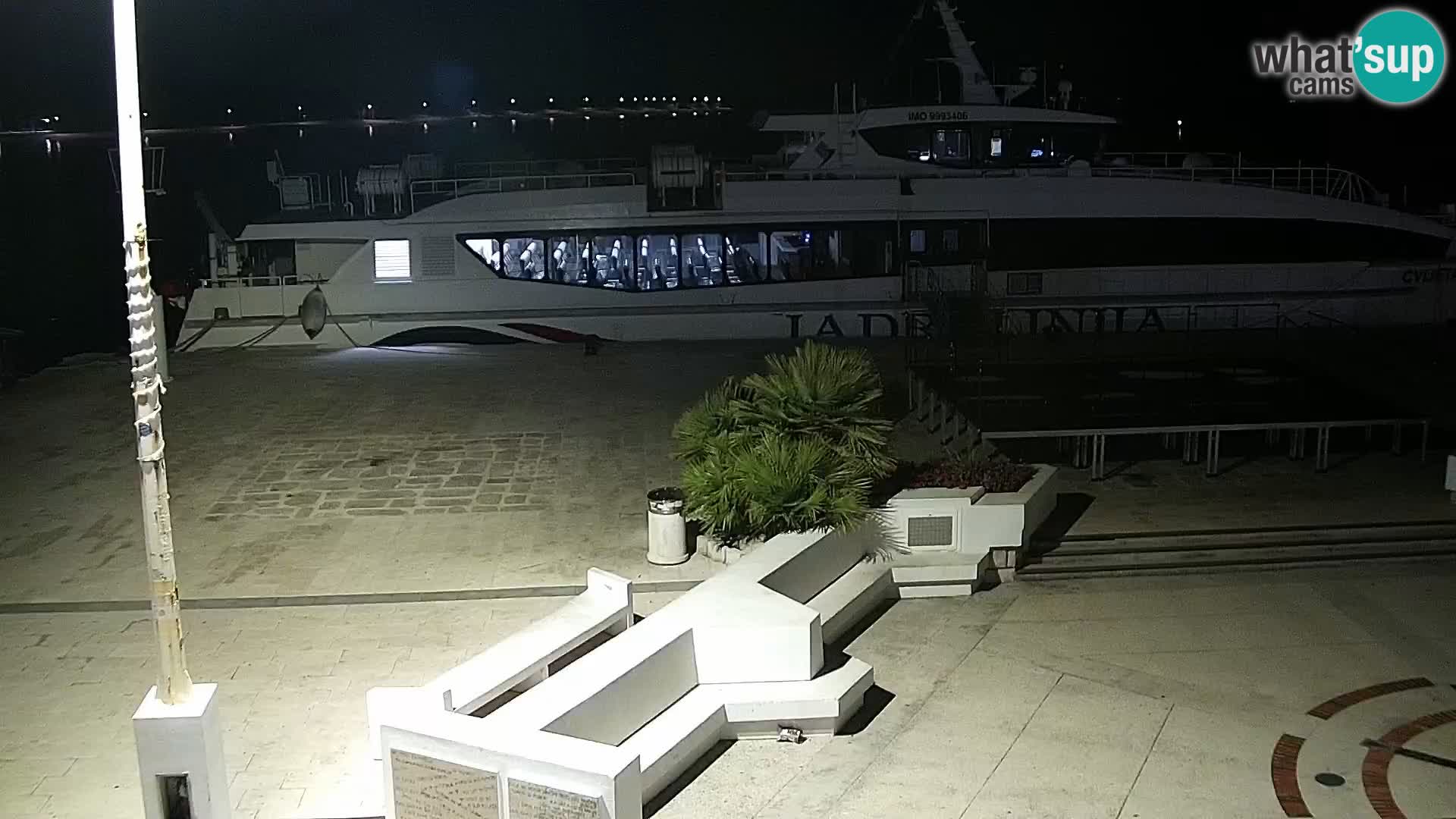 Promenade en Novalia Camera en vivo