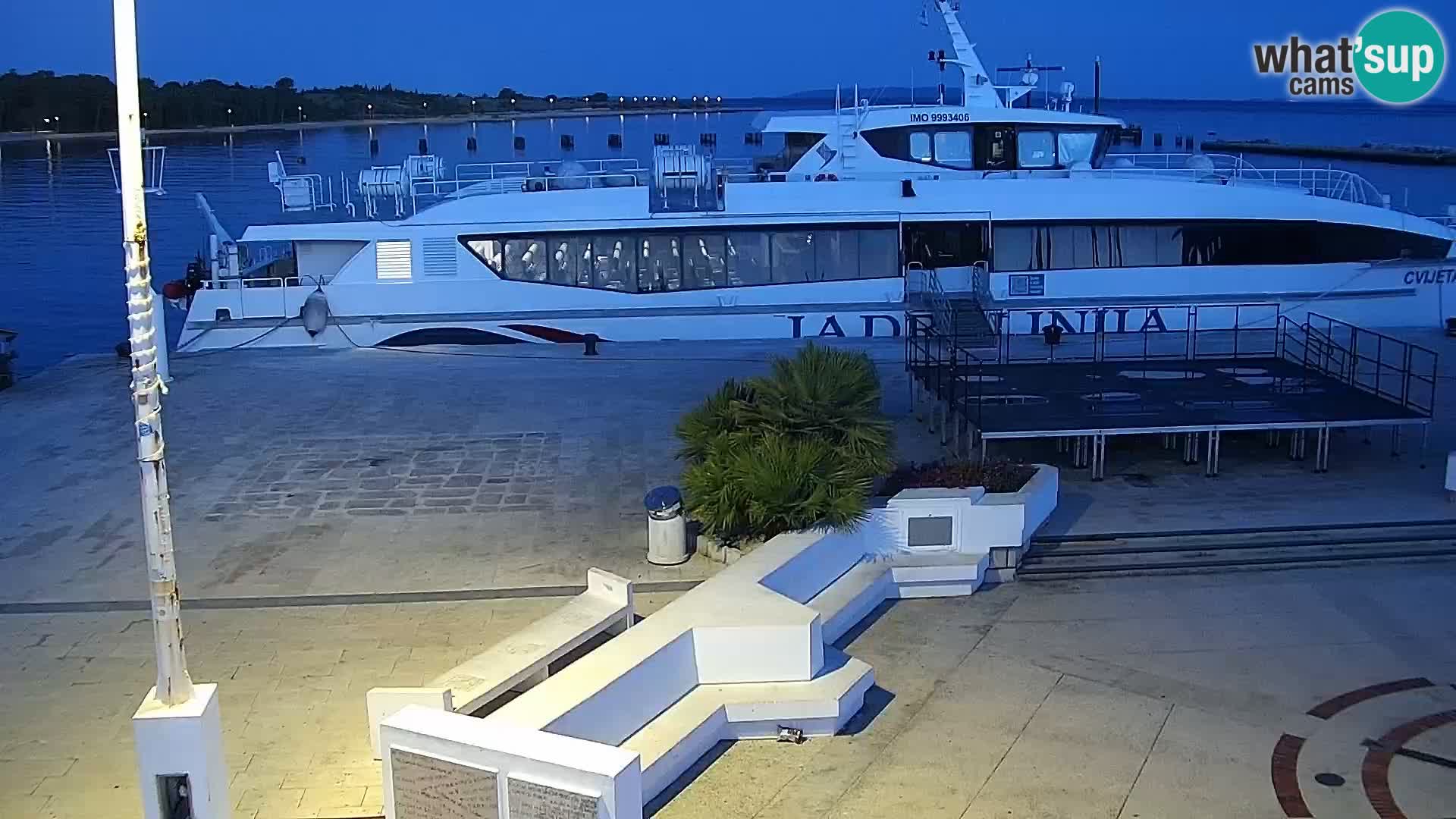 Webcam Novalja seaside promenade