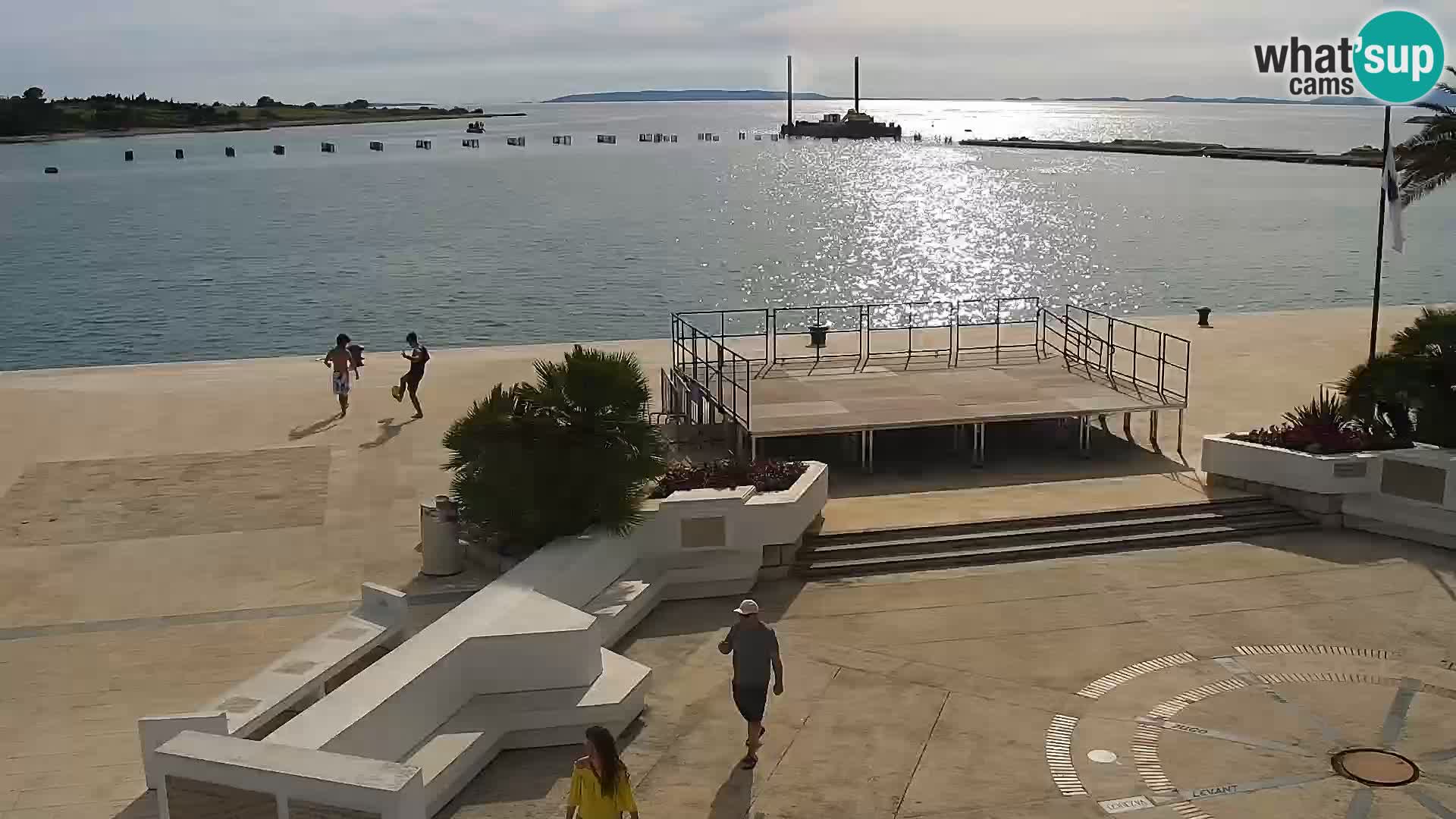 Promenade en Novalia Camera en vivo