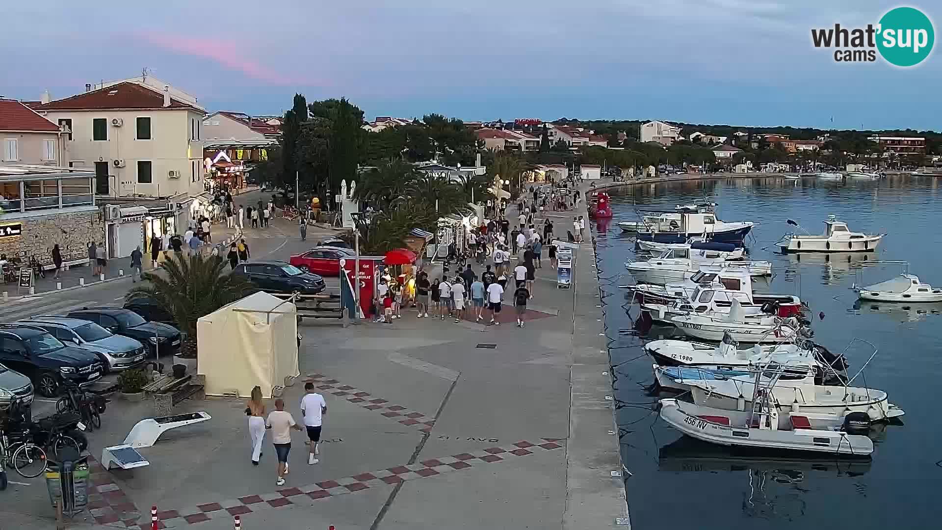 Promenade en Novalia Camera en vivo