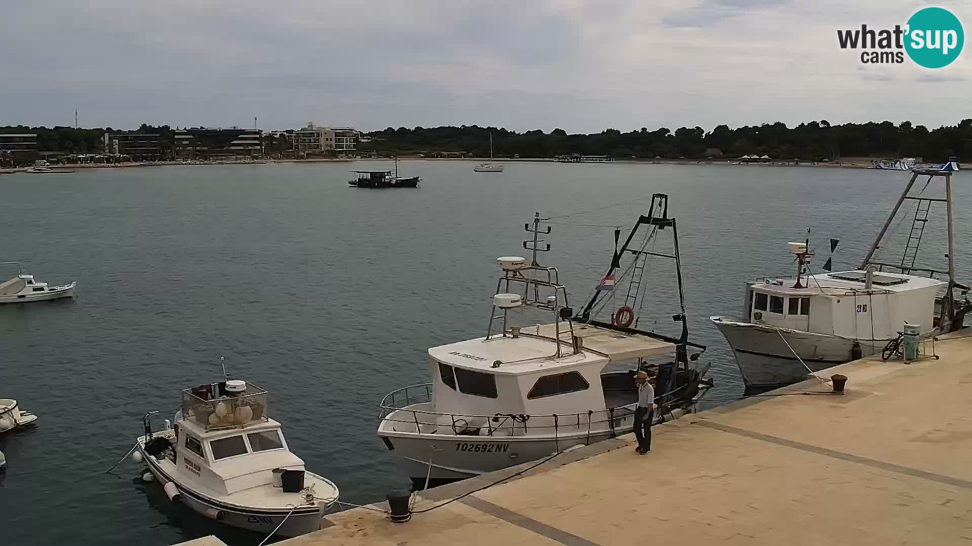 Webcam Novalja seaside promenade