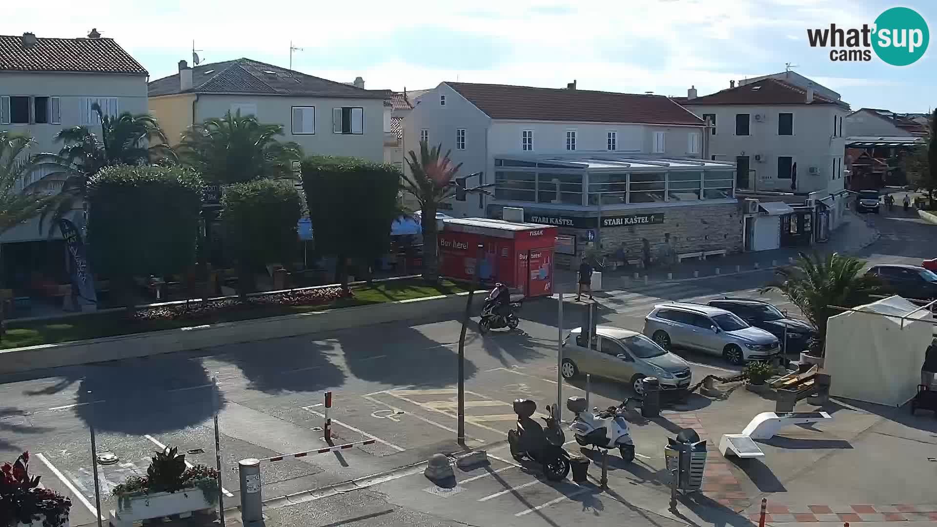 Promenade en Novalia Camera en vivo