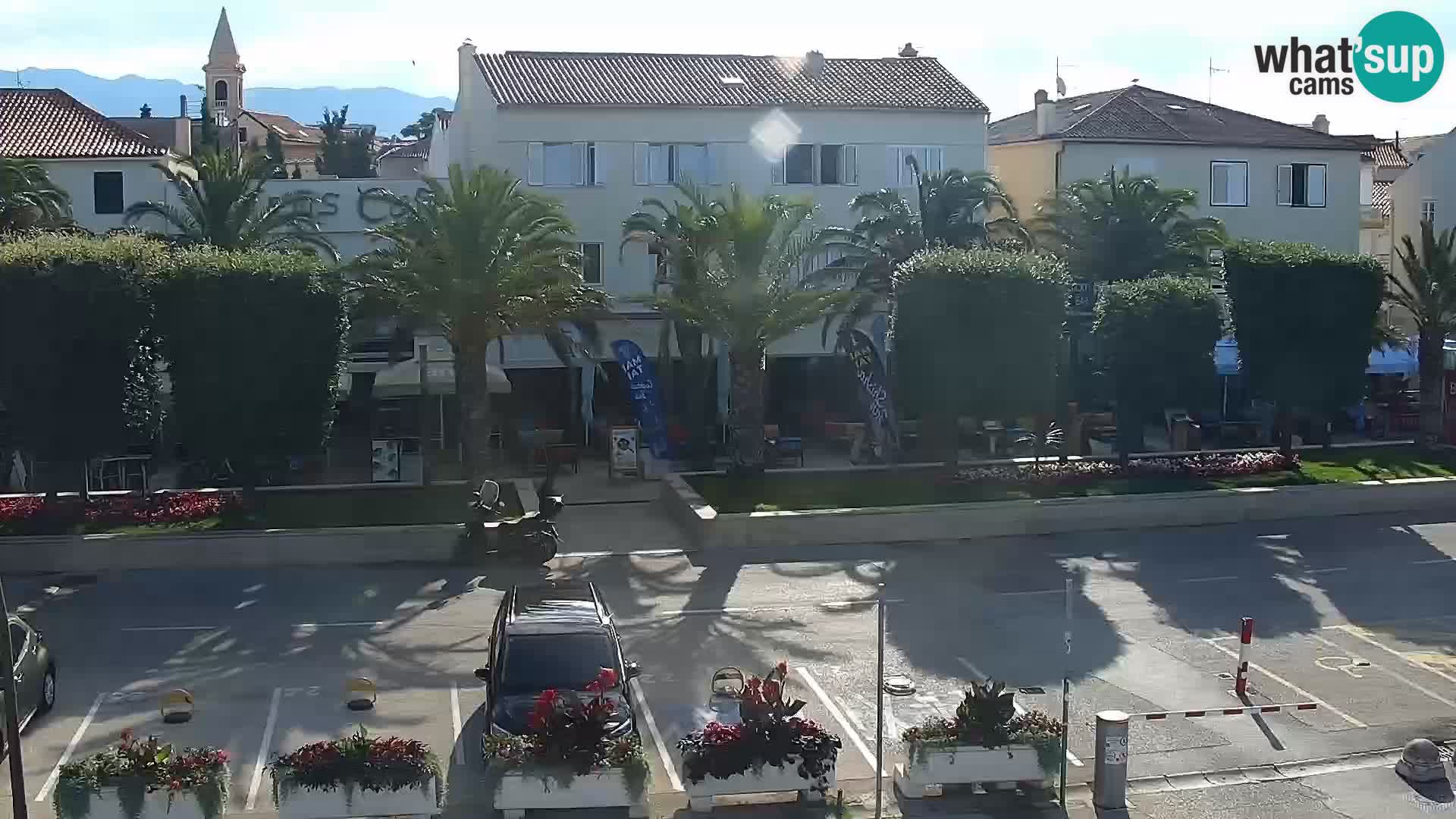 Promenade en Novalia Camera en vivo