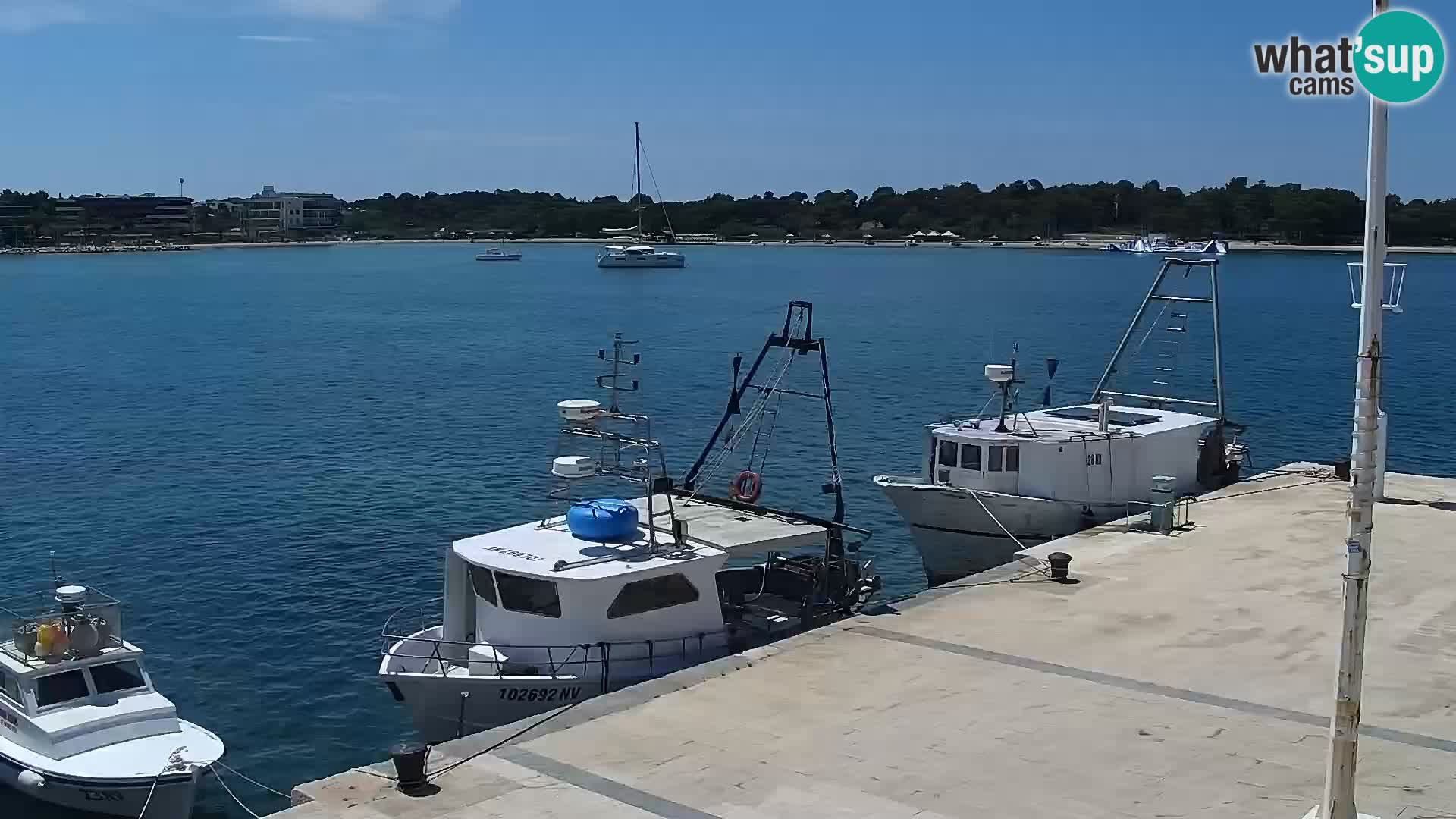 Webcam Novalja seaside promenade