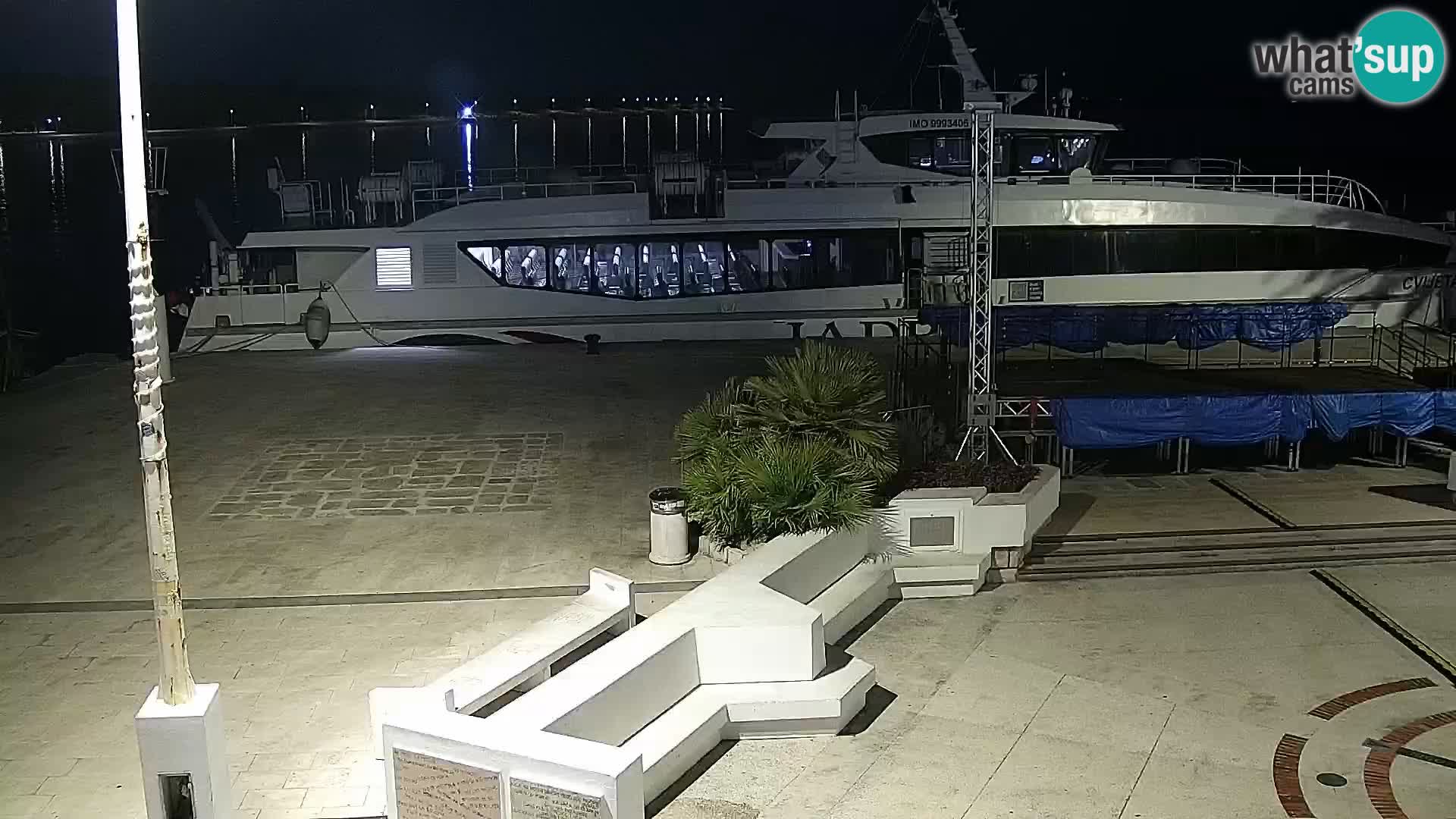 Promenade en Novalia Camera en vivo