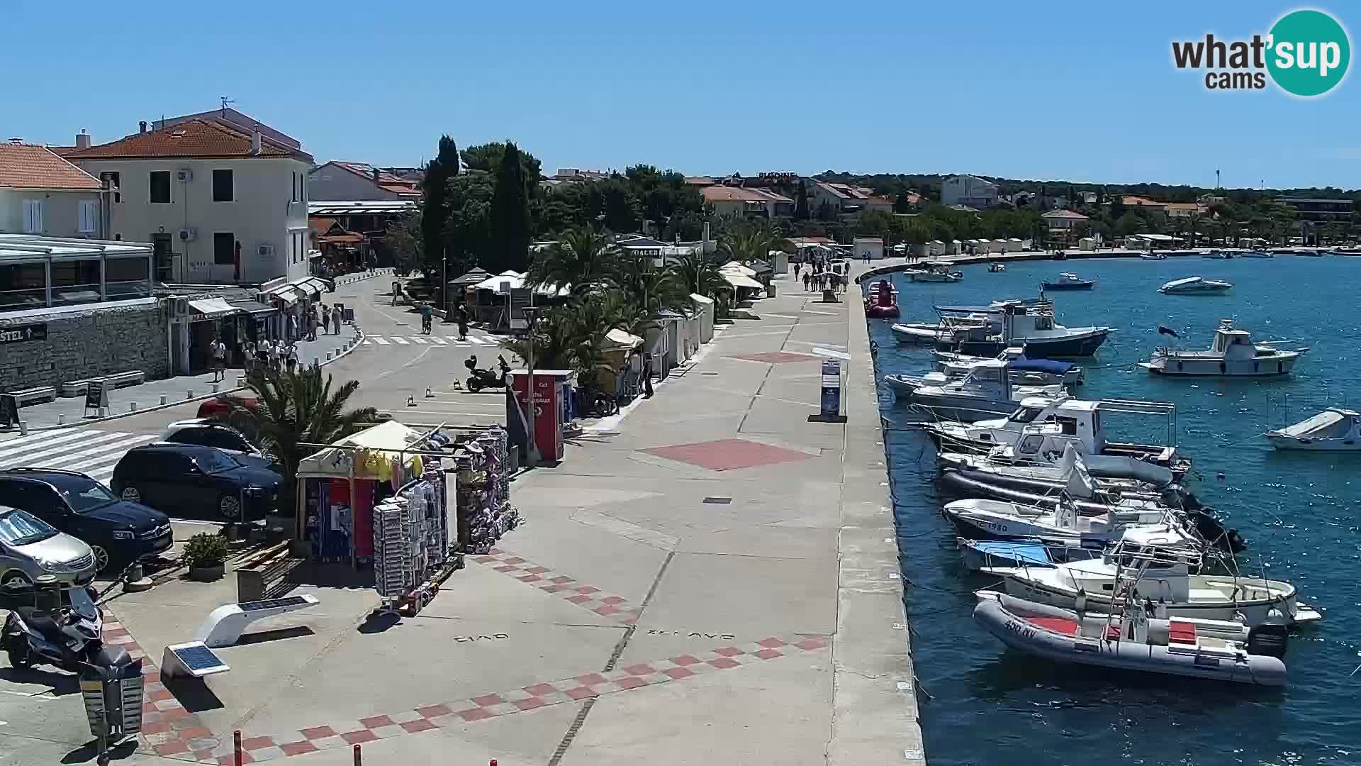 Promenade en Novalia Camera en vivo